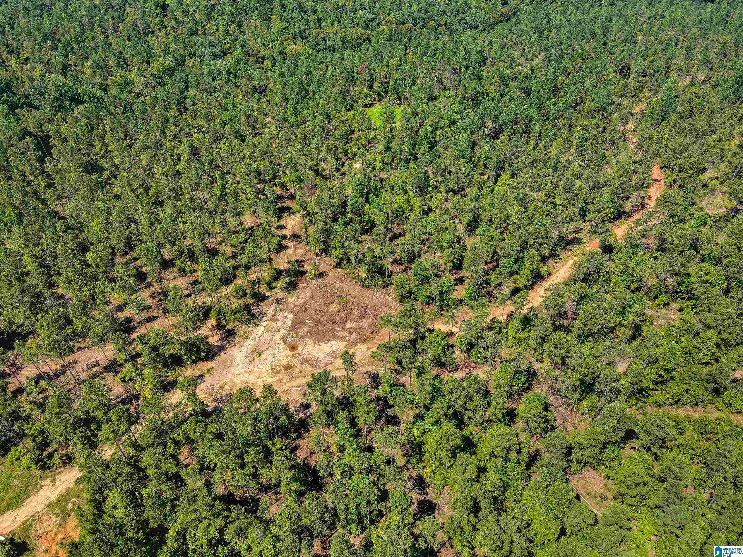 Clanton, AL 35045,0 COUNTY ROAD 465 #1