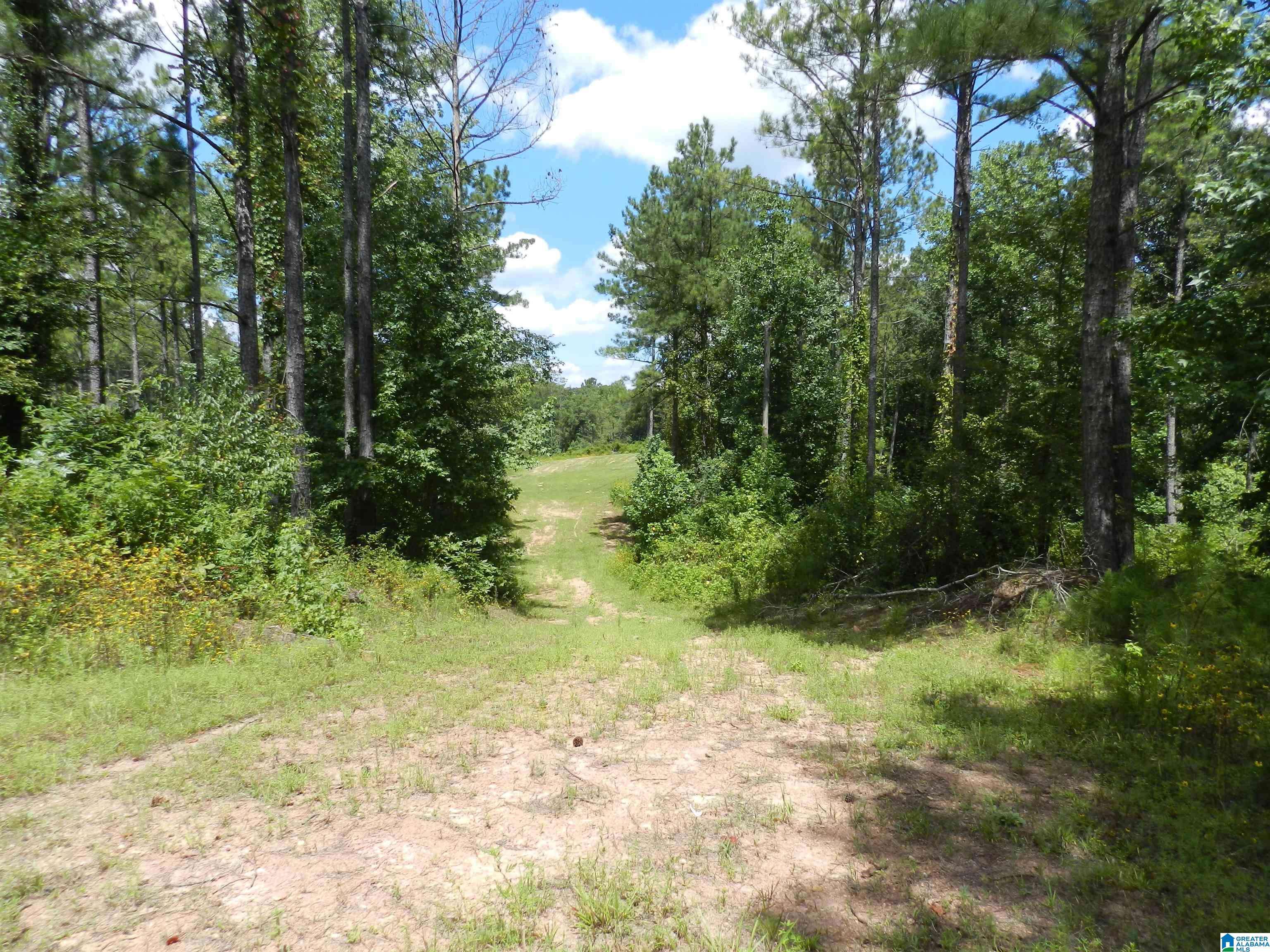 Jemison, AL 35085,308 COUNTY ROAD 1039 #06