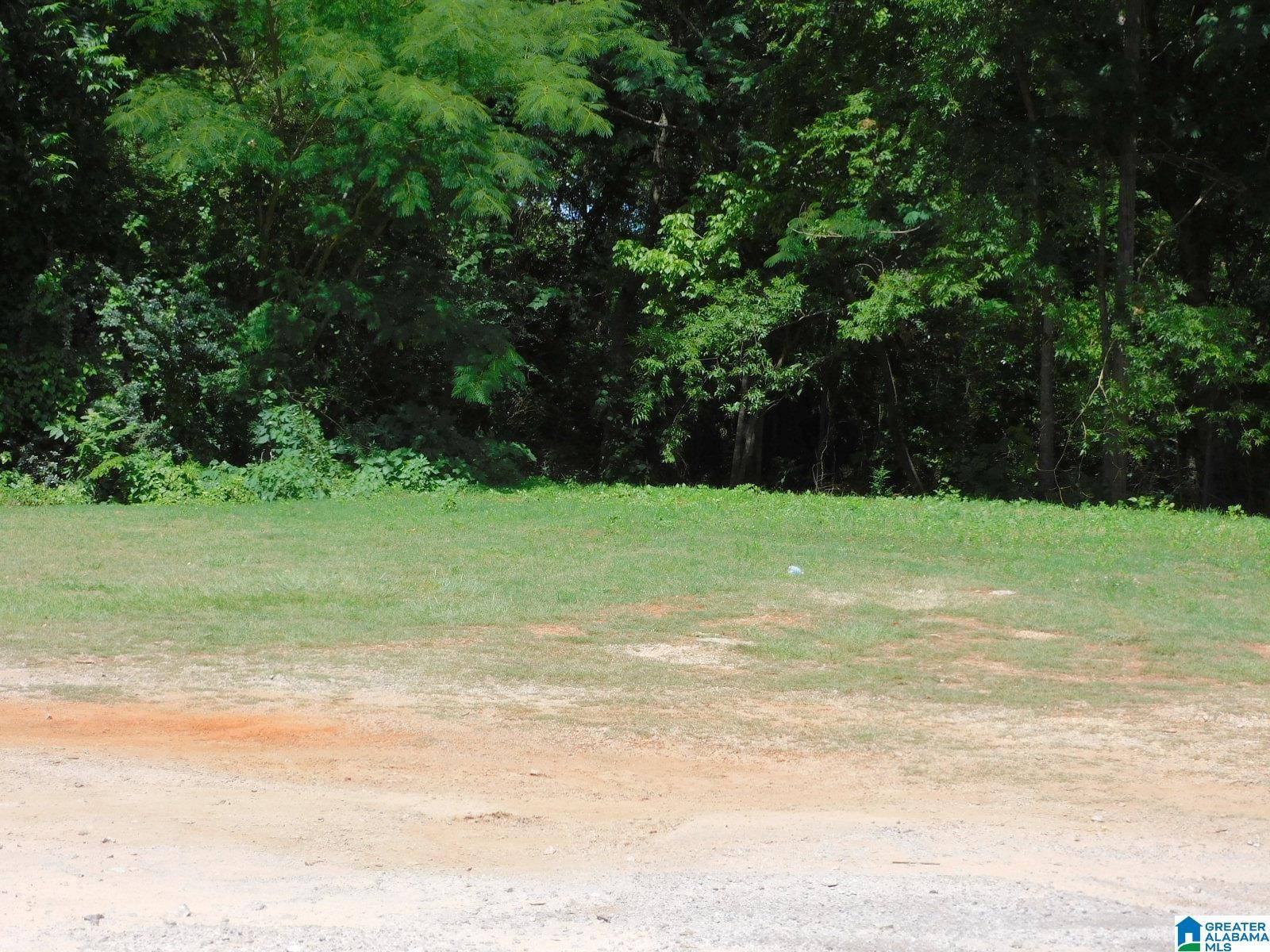 Montevallo, AL 35115,204 SELMA ROAD #0