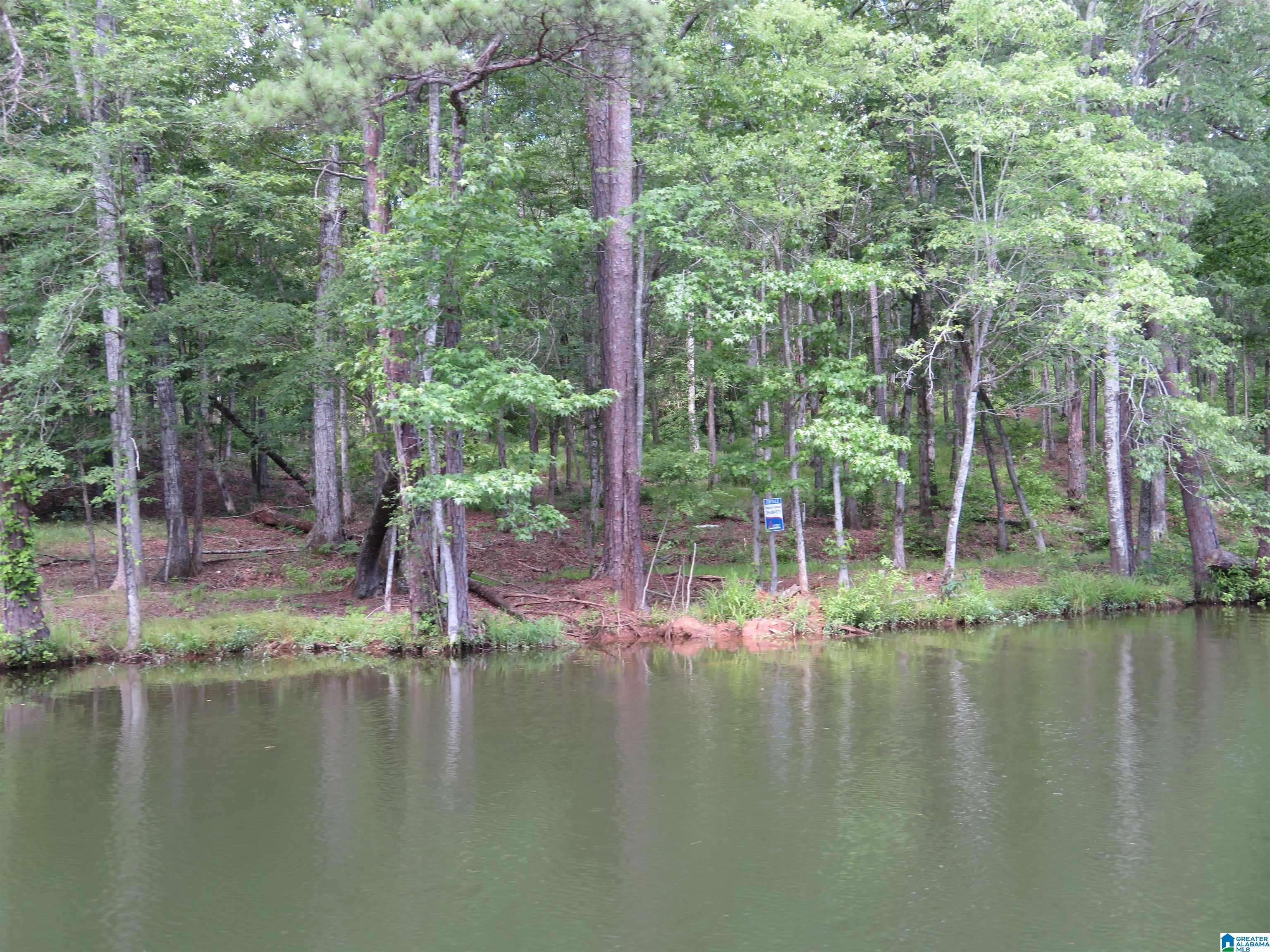 Rockford, AL 35136,Lot 5 BIG Y COVE LOOP #5