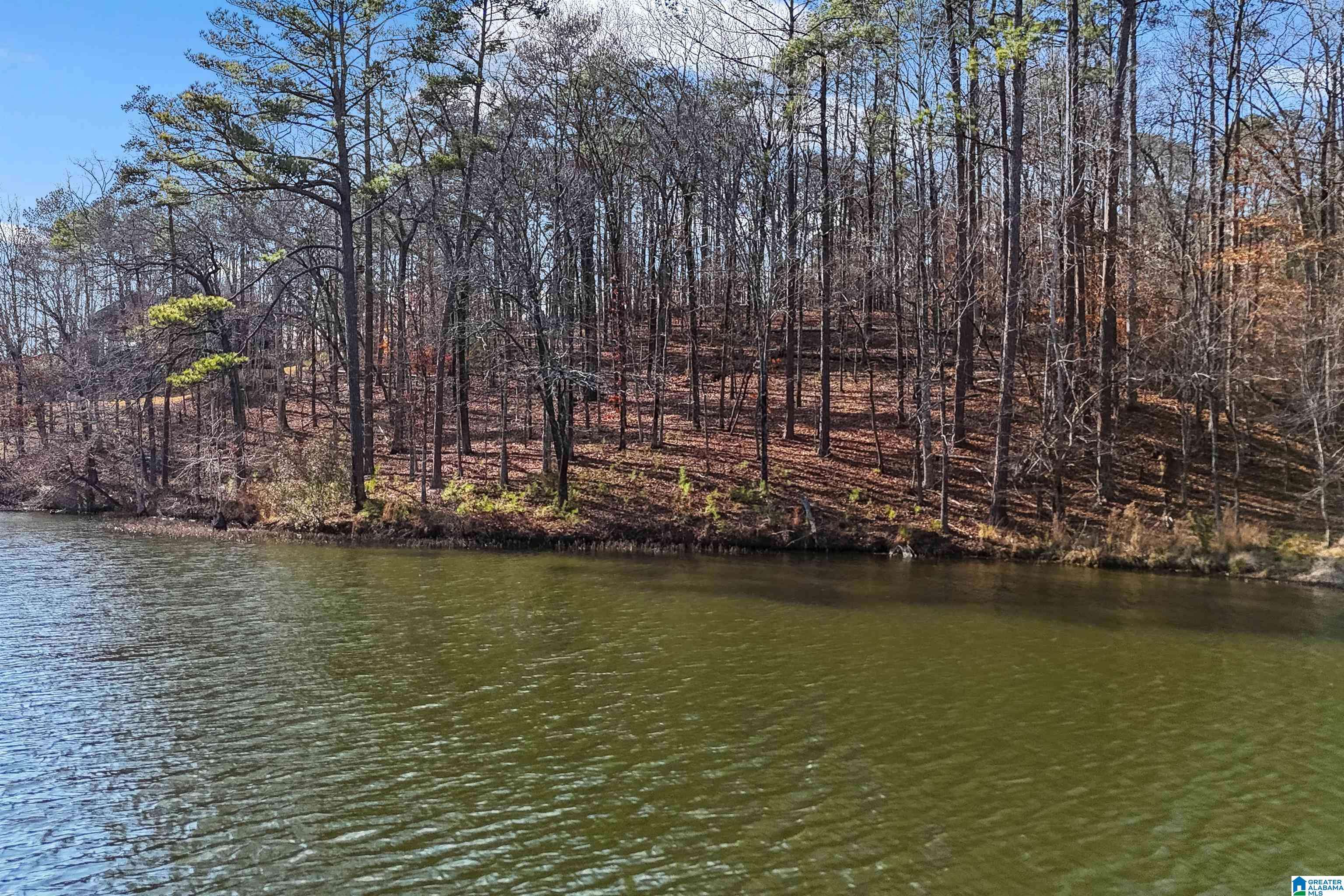 Rockford, AL 35136,Lot 5 BIG Y COVE LOOP #5