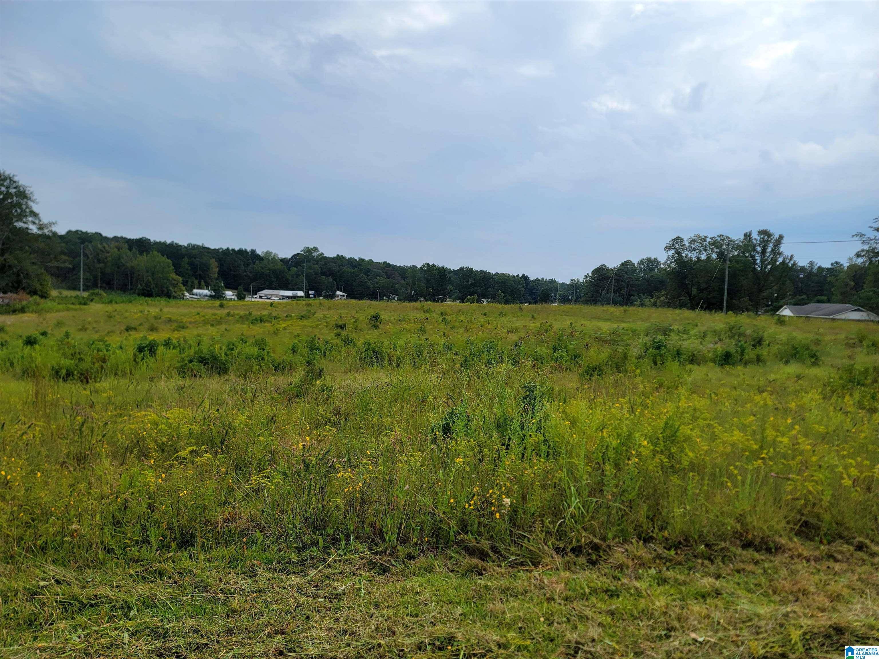 Clanton, AL 35045,4025 INDUSTRIAL PARK DRIVE