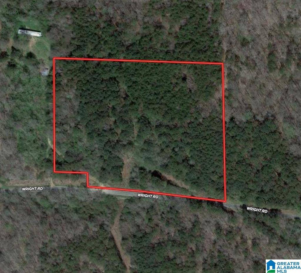Townley, AL 35587,WRIGHT ROAD #0