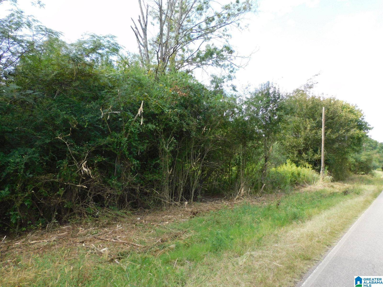 Harpersville, AL 35078,1409 CRESWELL ROAD #0
