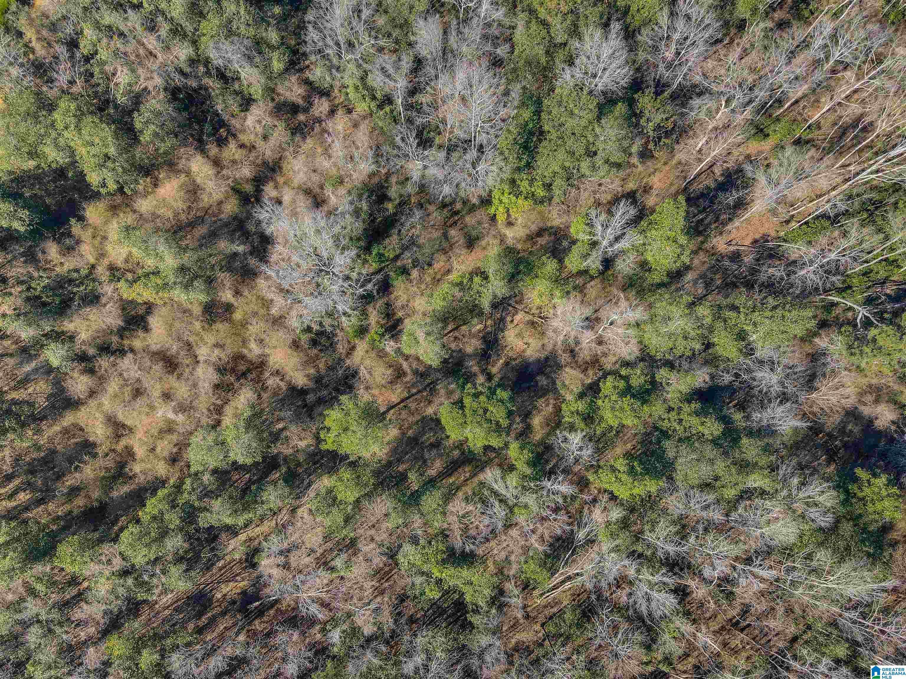 Clanton, AL 35045,807 YELLOWLEAF ROAD #1