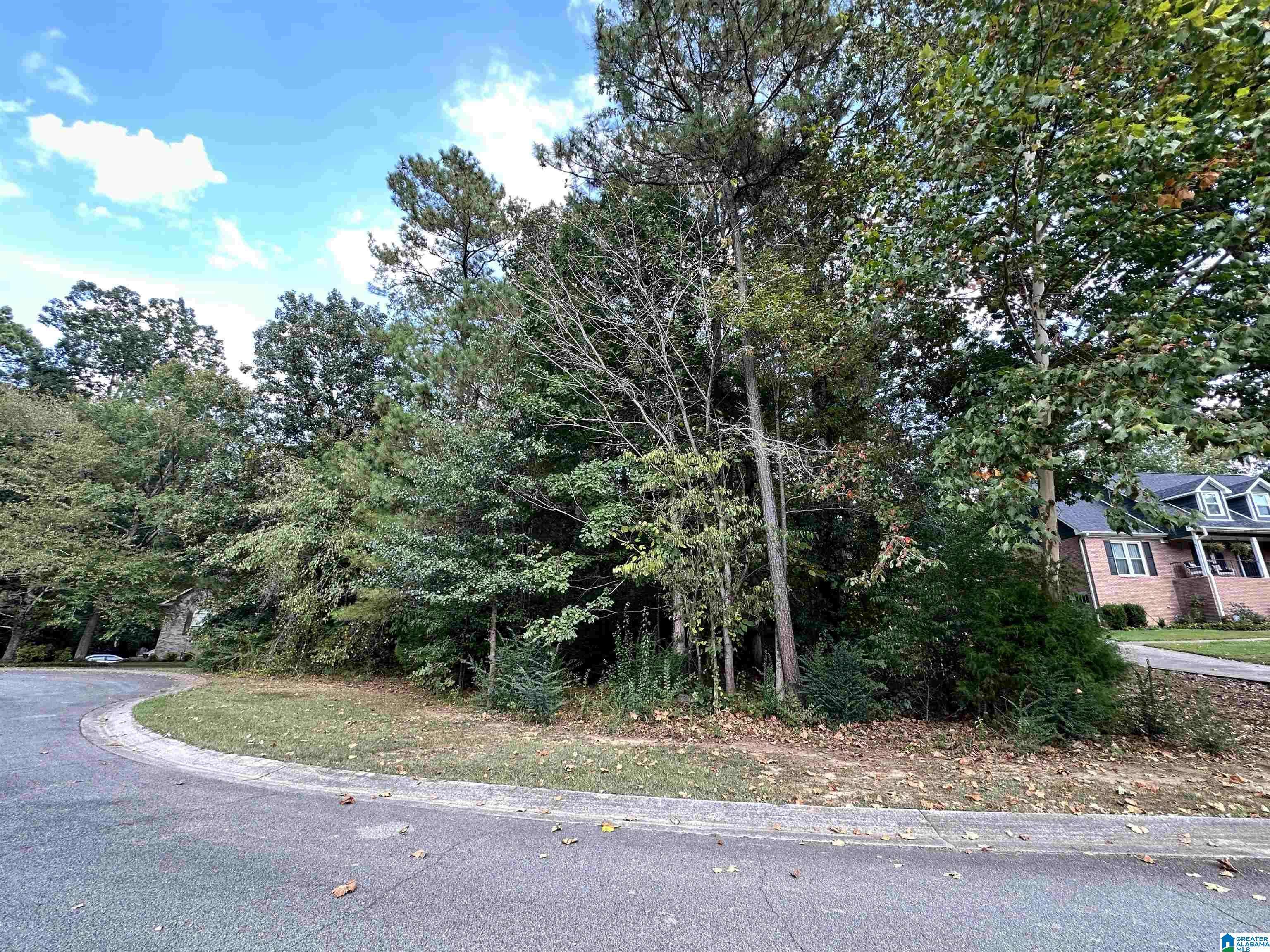 Mount Olive, AL 35117,5737 ACORN LANE #58