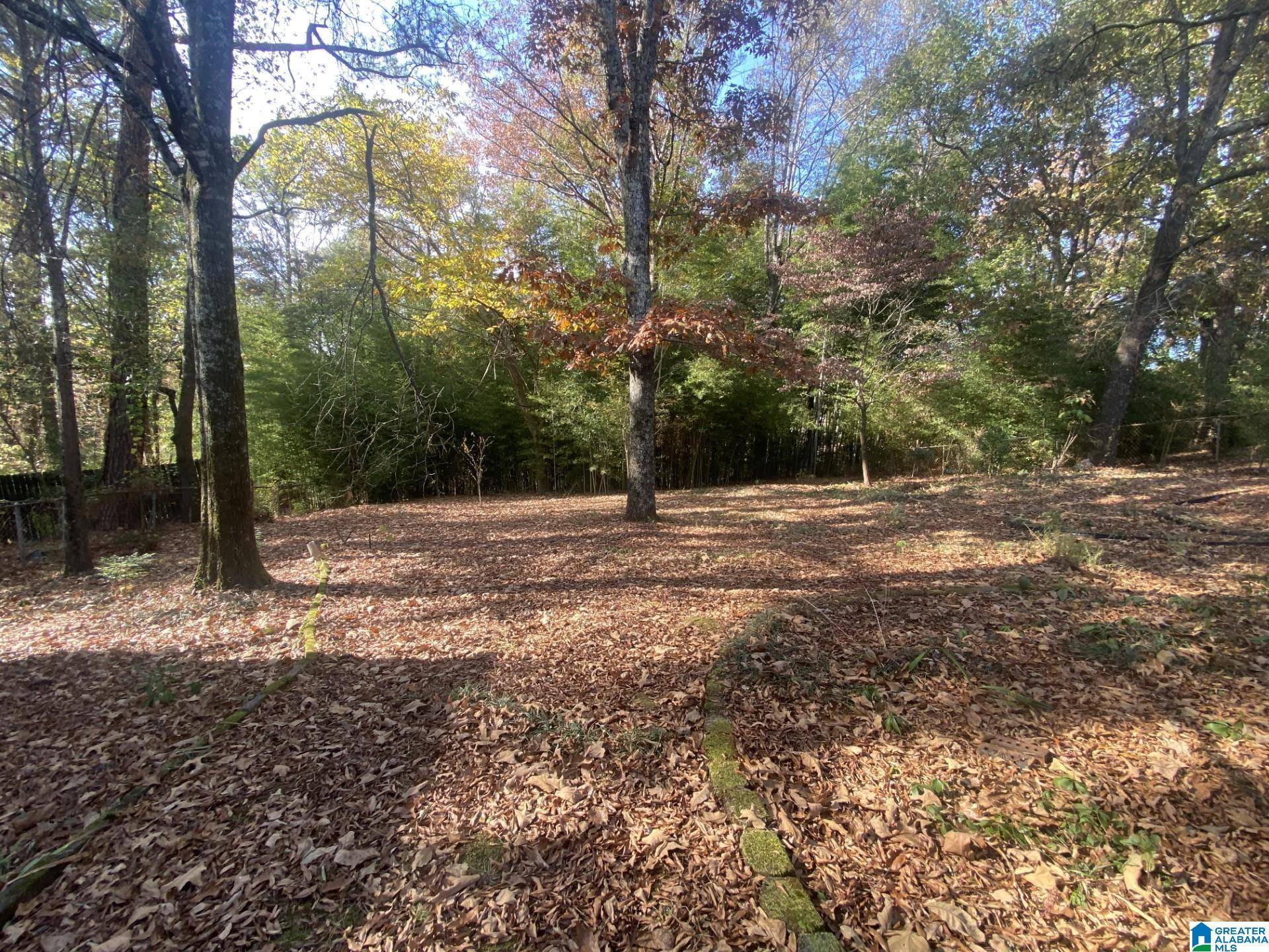 Birmingham, AL 35235,2604 GARRY STREET