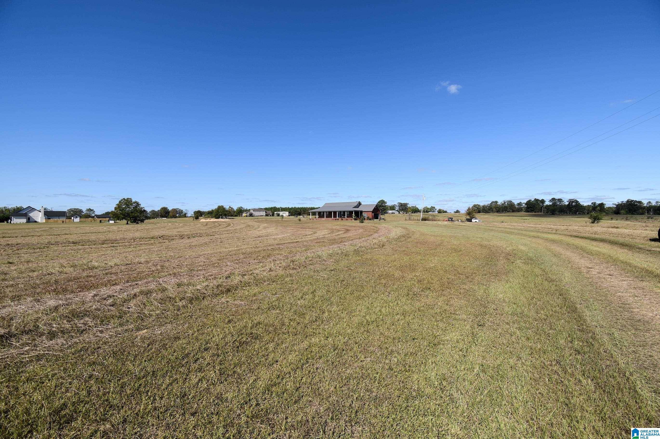 Billingsley, AL 36006,125 COUNTY ROAD 24