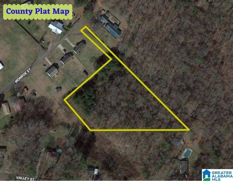 Guntersville, AL 35976,Lot 4 MONROE STREET #4