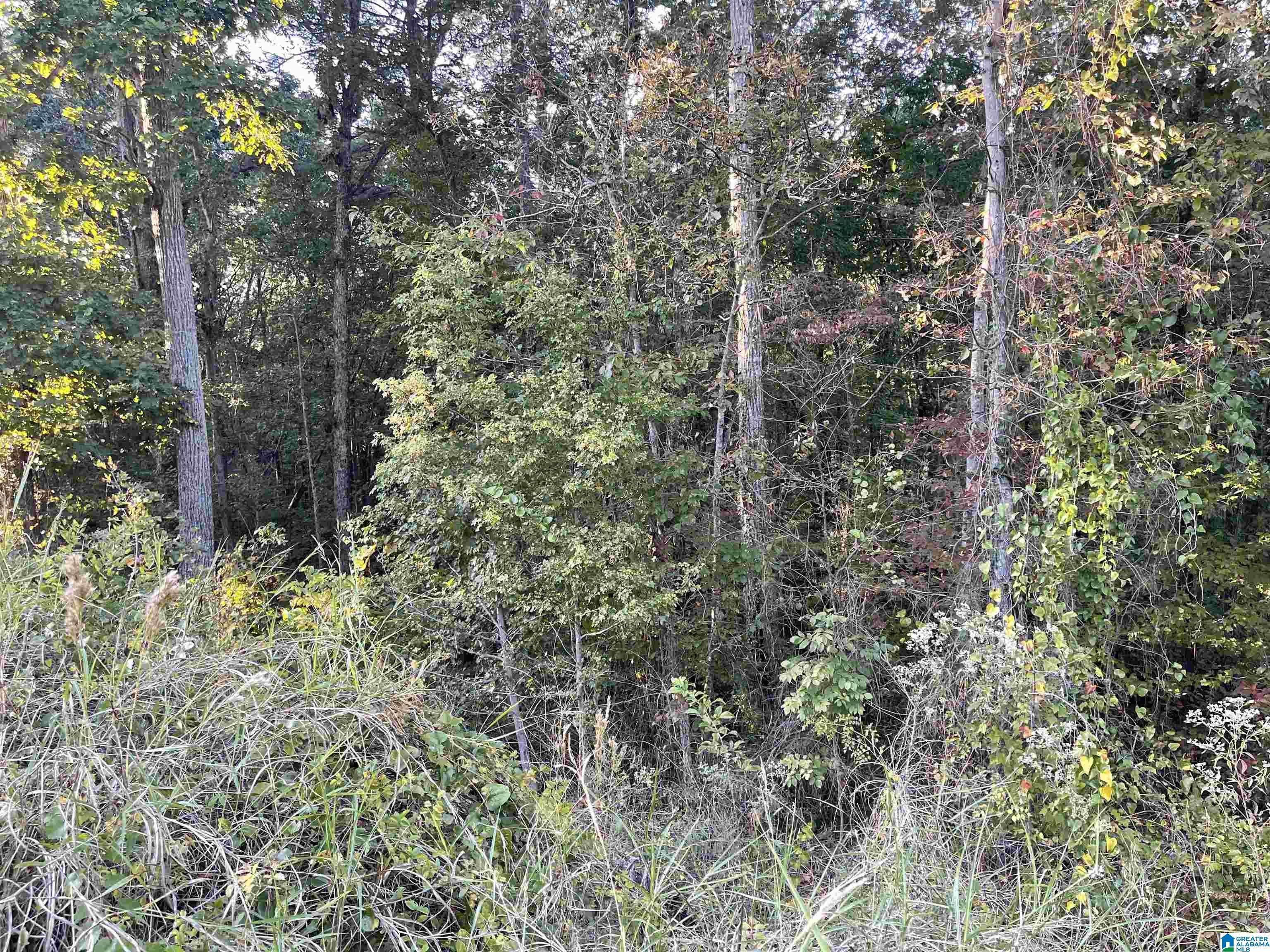 Oxford, AL 36203,0 EMI GIL ROAD #14