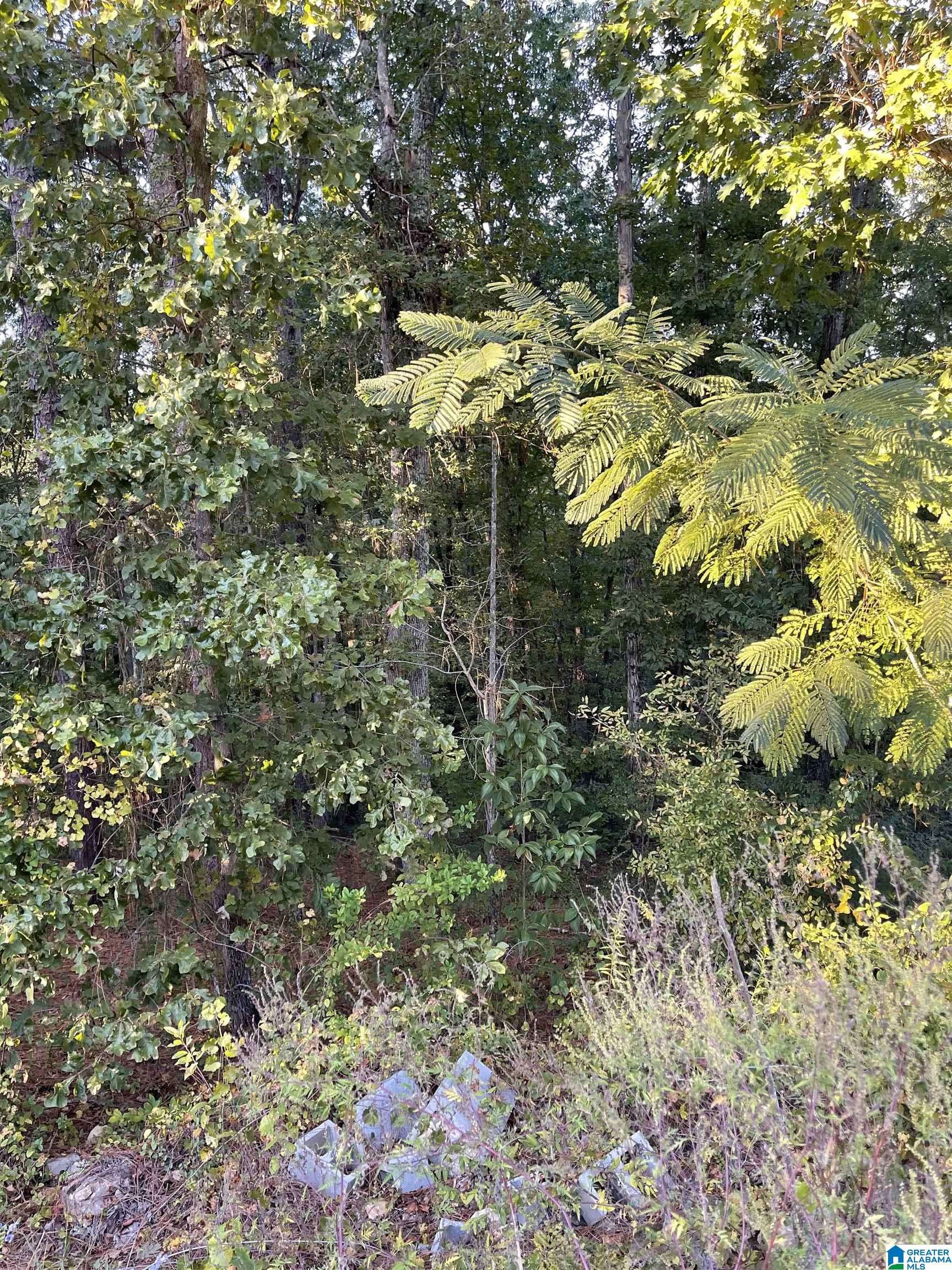 Oxford, AL 36203,0 EMI GIL ROAD #14