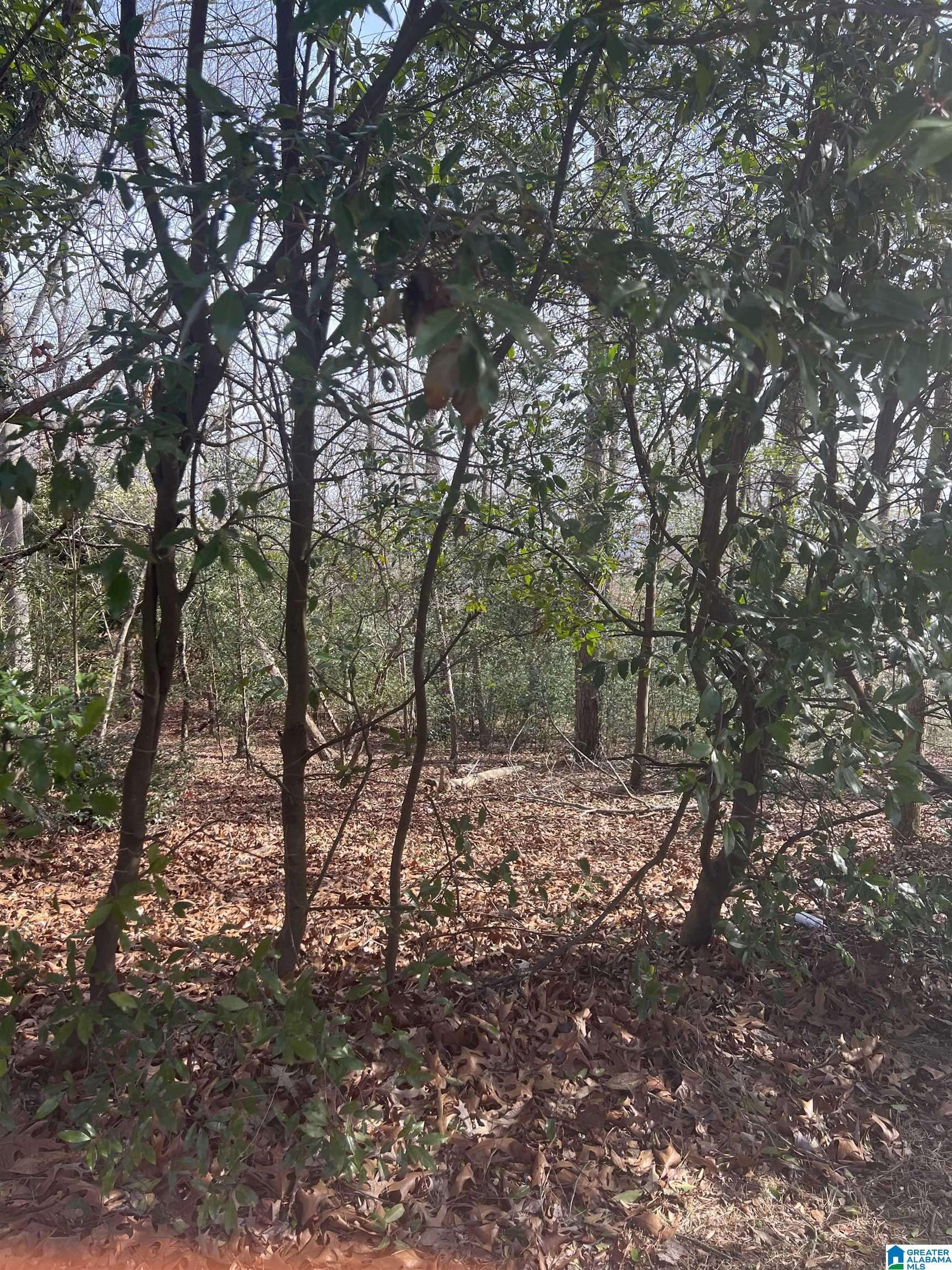 Mountain Brook, AL 35223,3800 ROCK CREEK TRAIL #10A