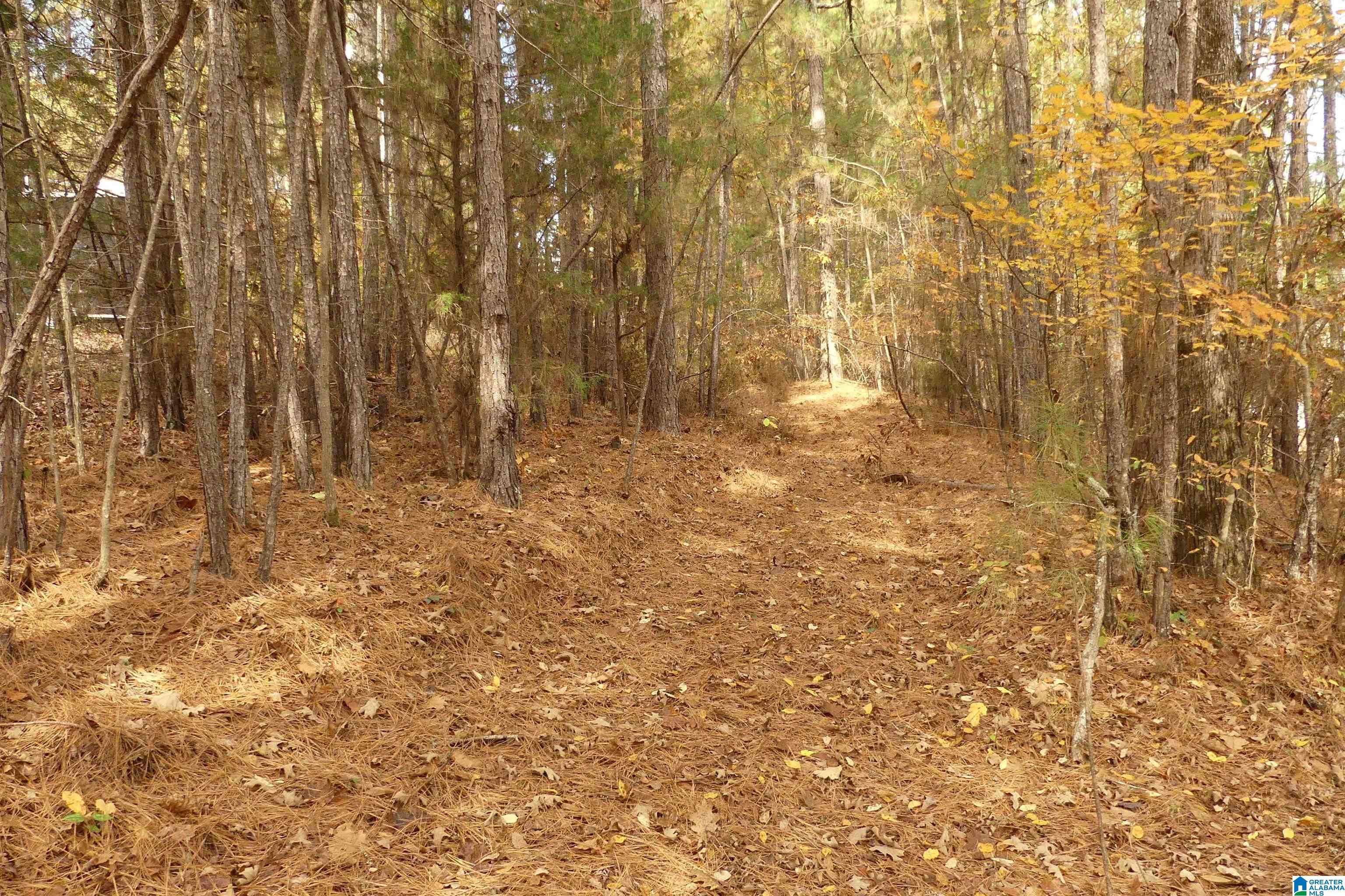 Wedowee, AL 36278,Lot 42B HICKS BEND COURT #42B