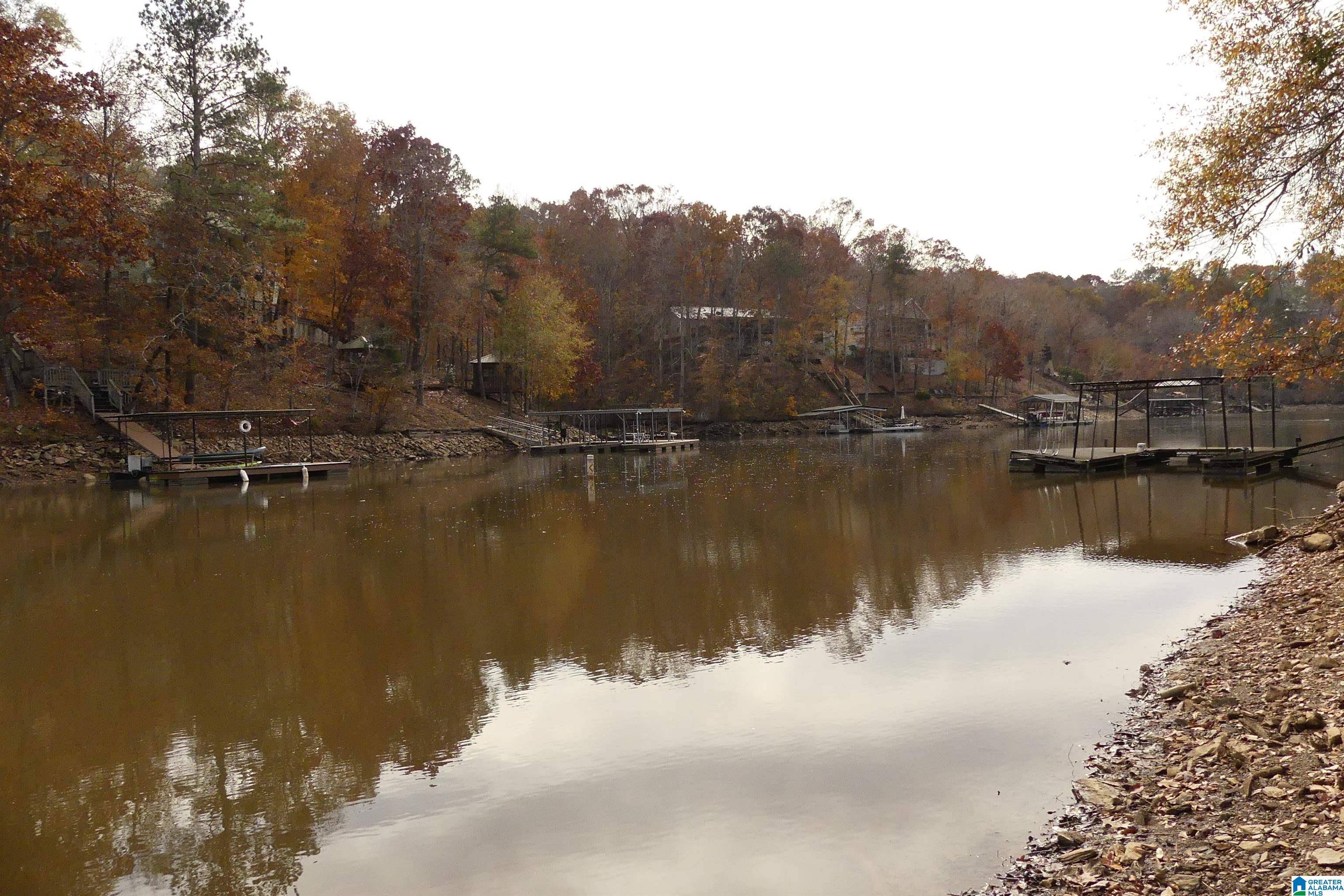 Wedowee, AL 36278,Lot 42B HICKS BEND COURT #42B