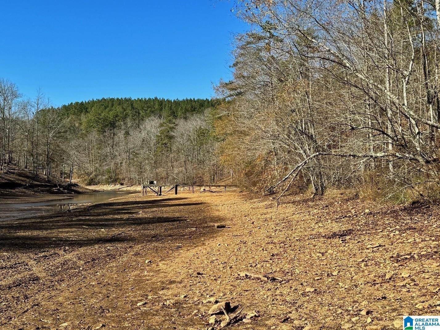 Wedowee, AL 36278,COUNTY ROAD 7 #0