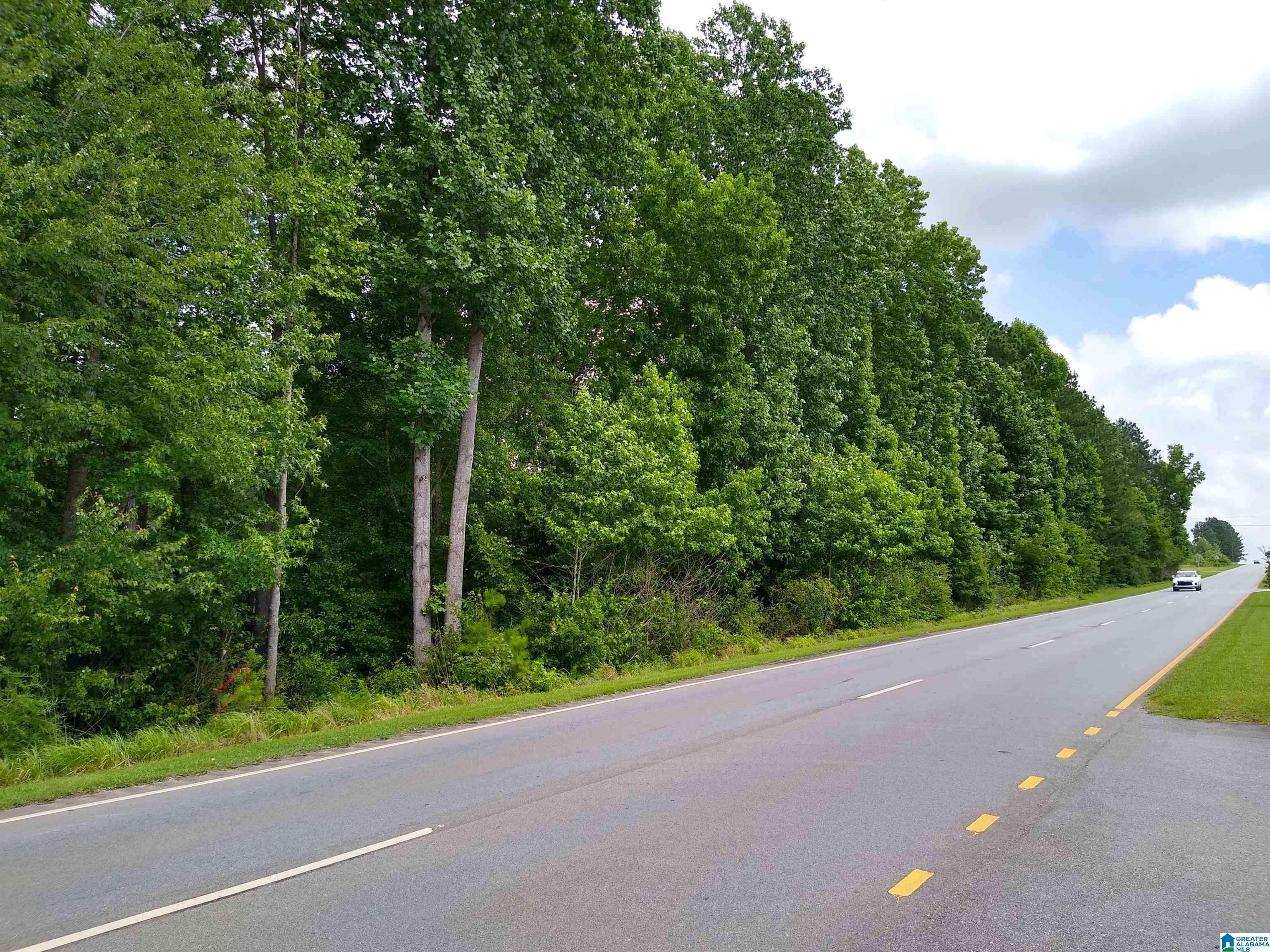 Wedowee, AL 36278,MAIN STREET S
