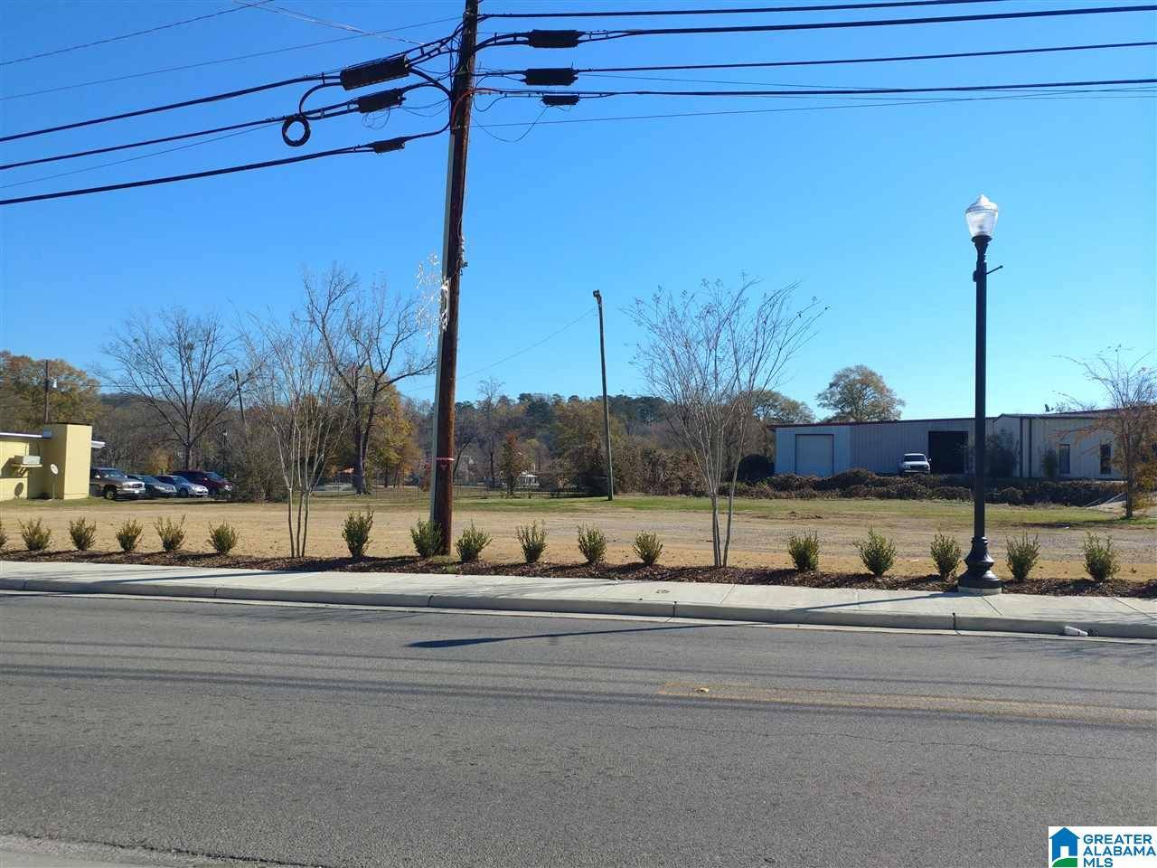 Springville, AL 35146,6178 HIGHWAY 11 #0