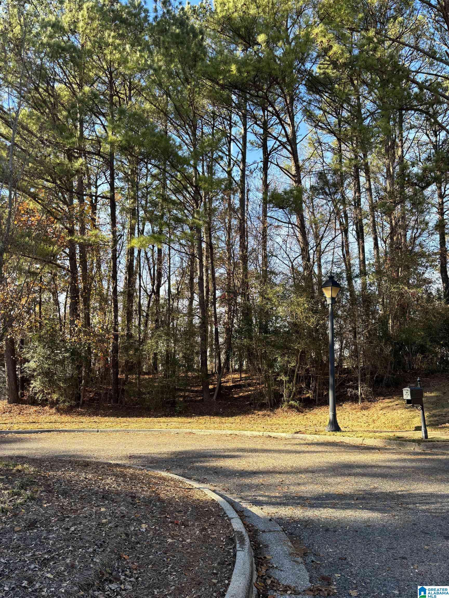 Hoover, AL 35244,1001 LAKE POINTE LANE #2015