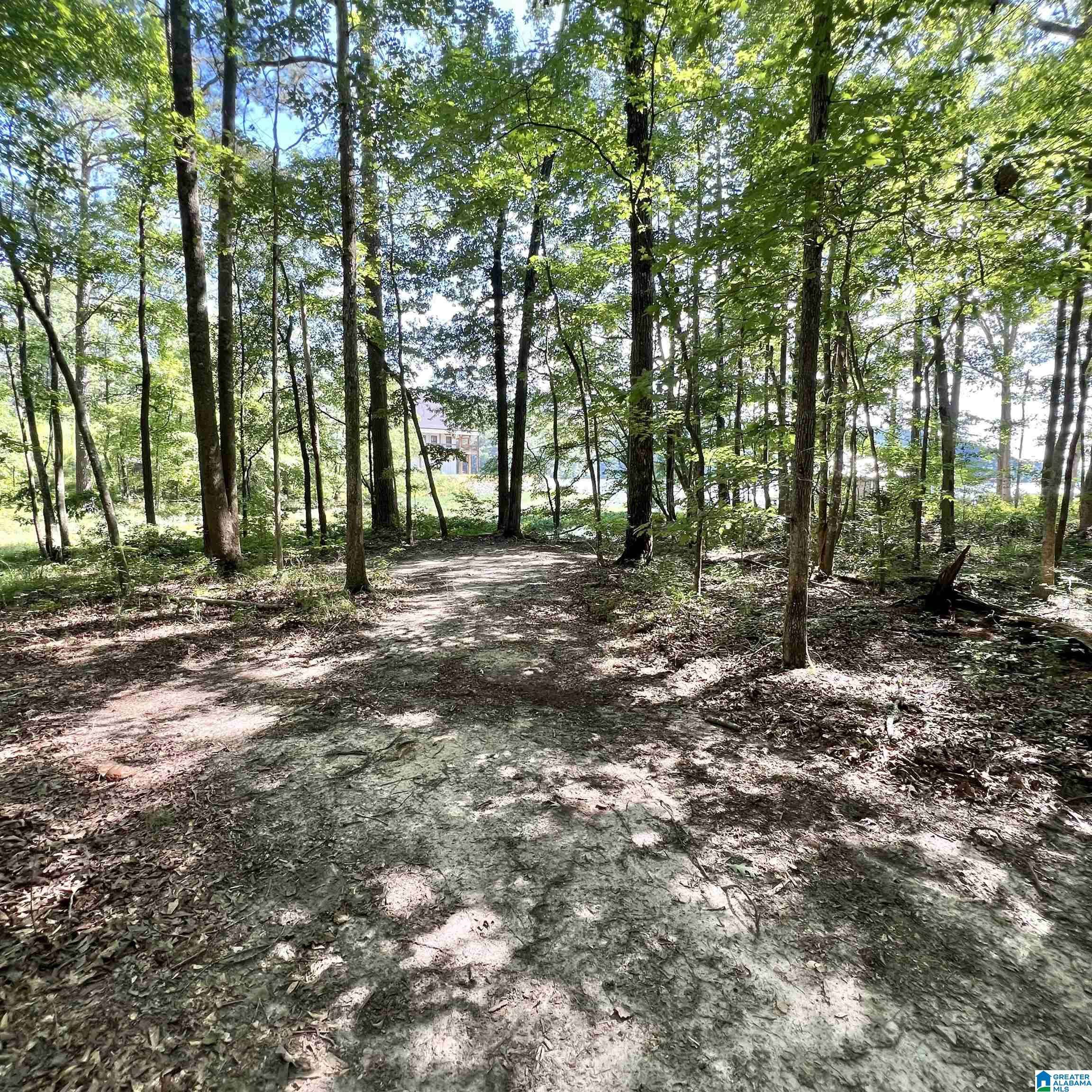 Ashville, AL 35953,60 GIBSON COVE DRIVE #6