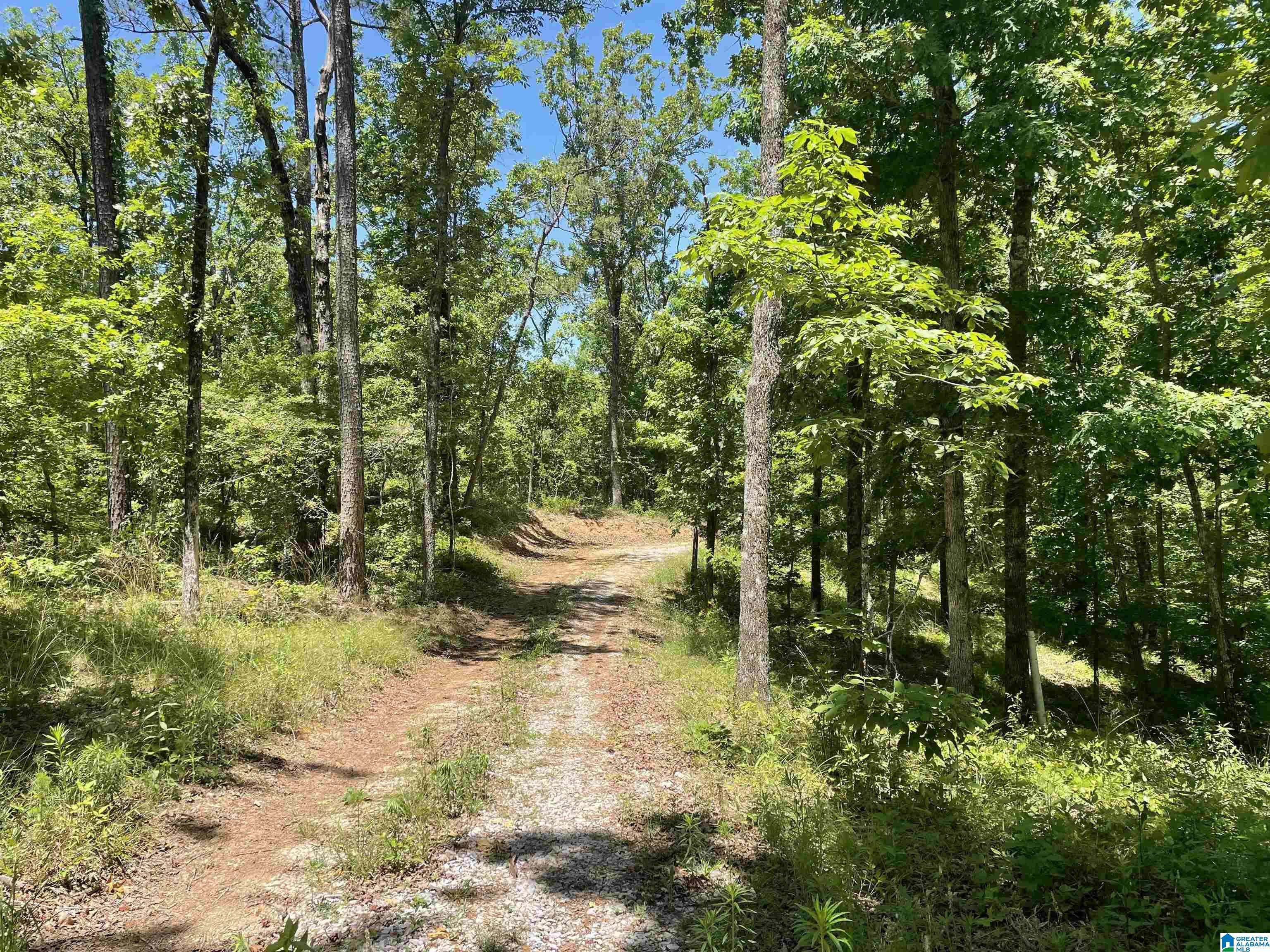 Westover, AL 35147,1721 WESTOVER ROAD #0