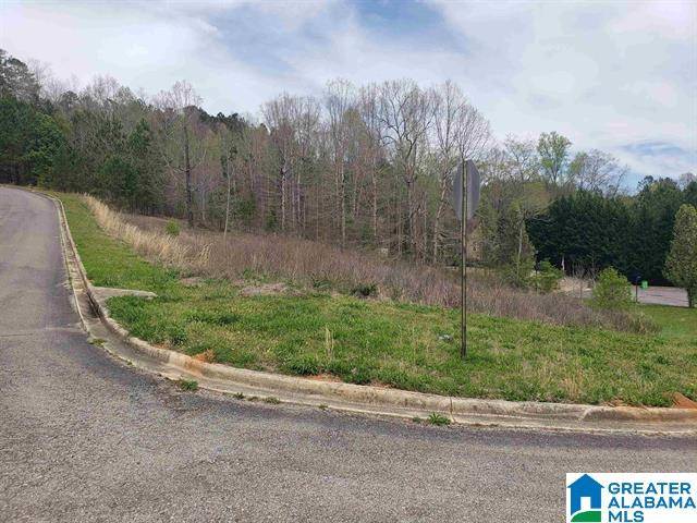 Springville, AL 35146,45 JOSHUA WAY #5