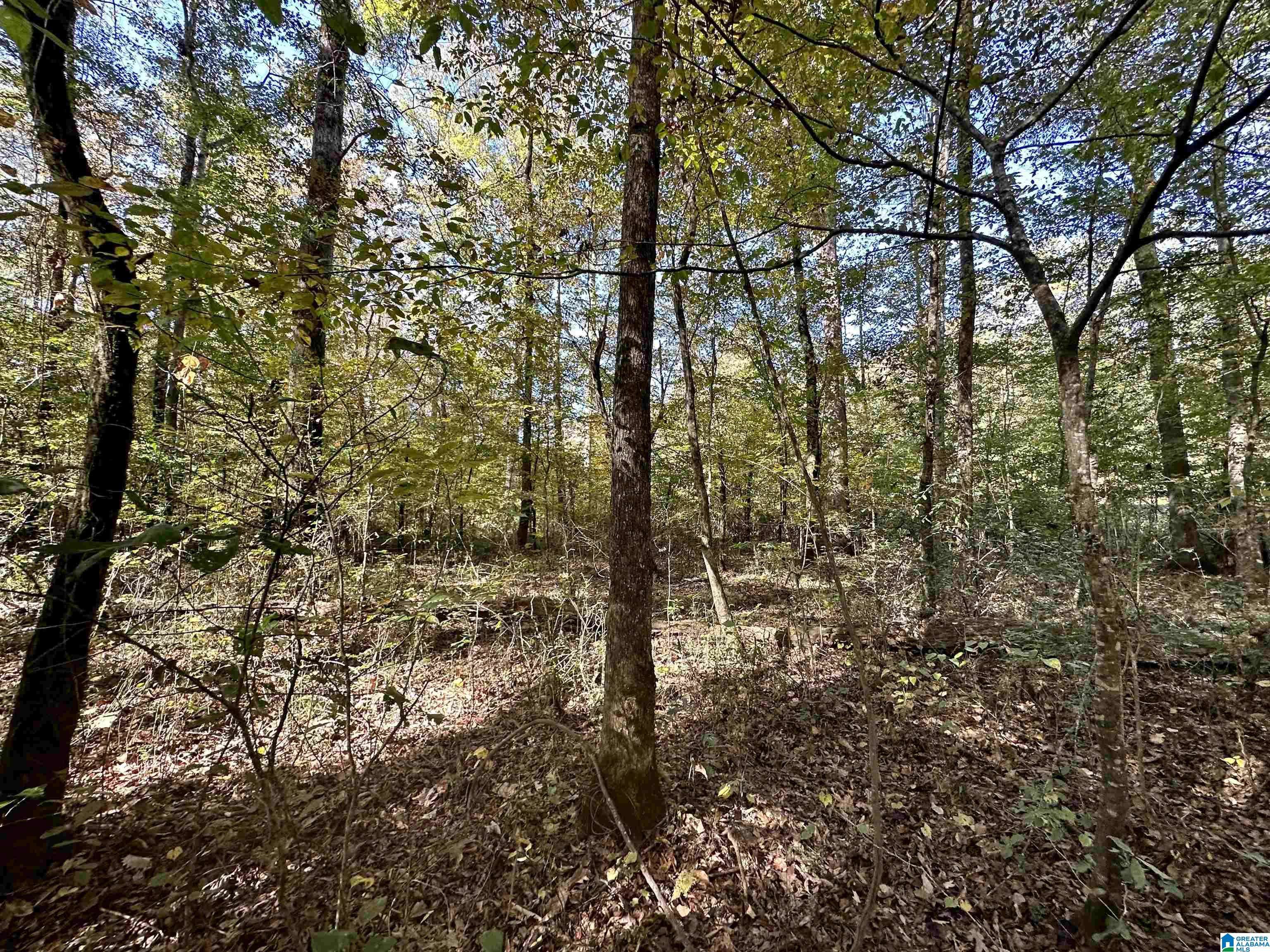 Harpersville, AL 35078,0 WEATHERTON TRAIL #0