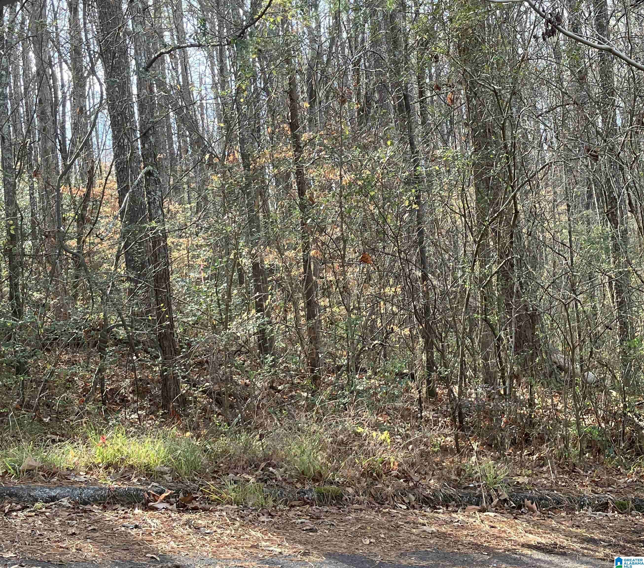 Springville, AL 35146,9 SHADYWOOD LANE #9