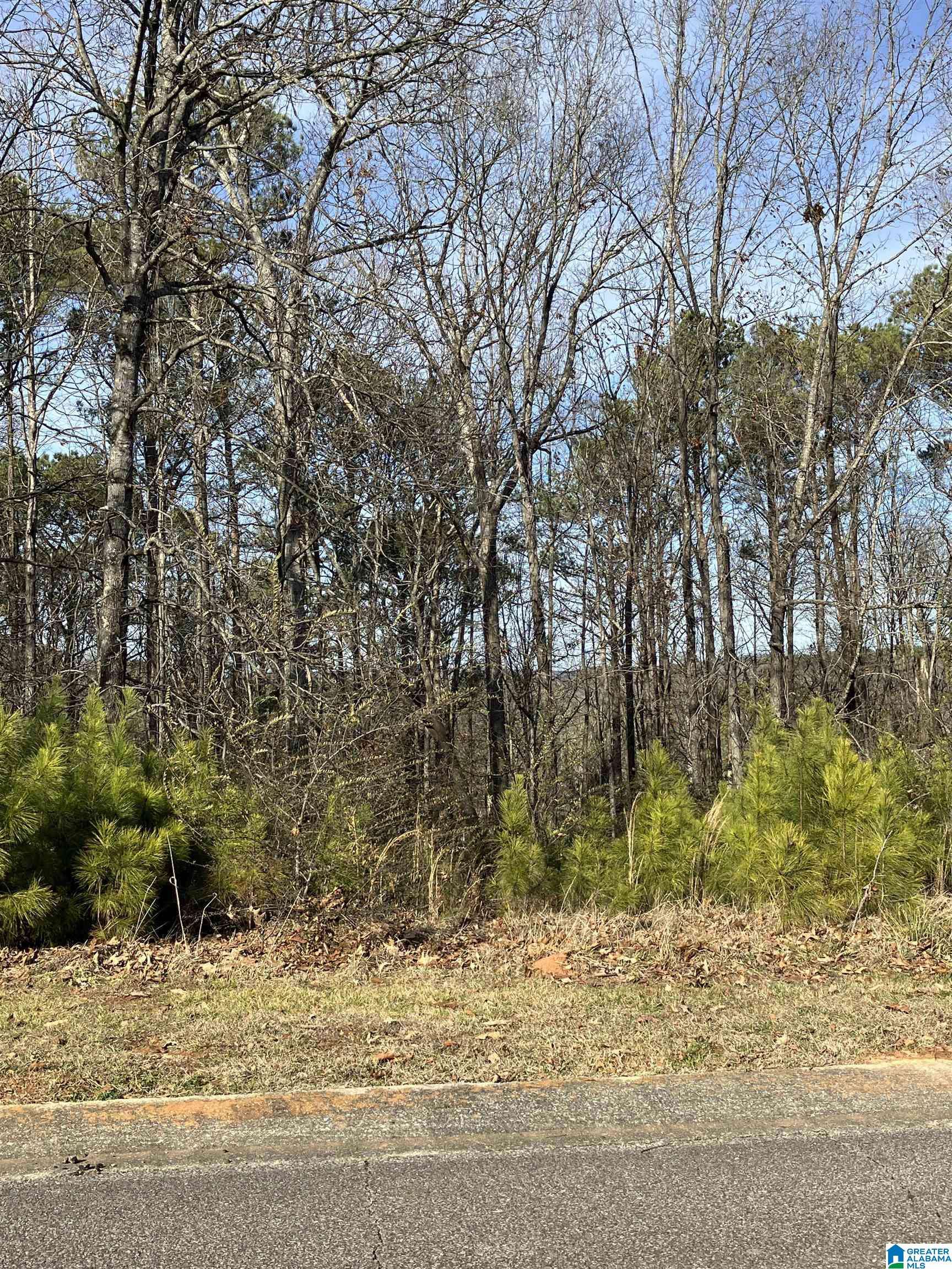 Springville, AL 35146,11 WOODLAND HILLS #11
