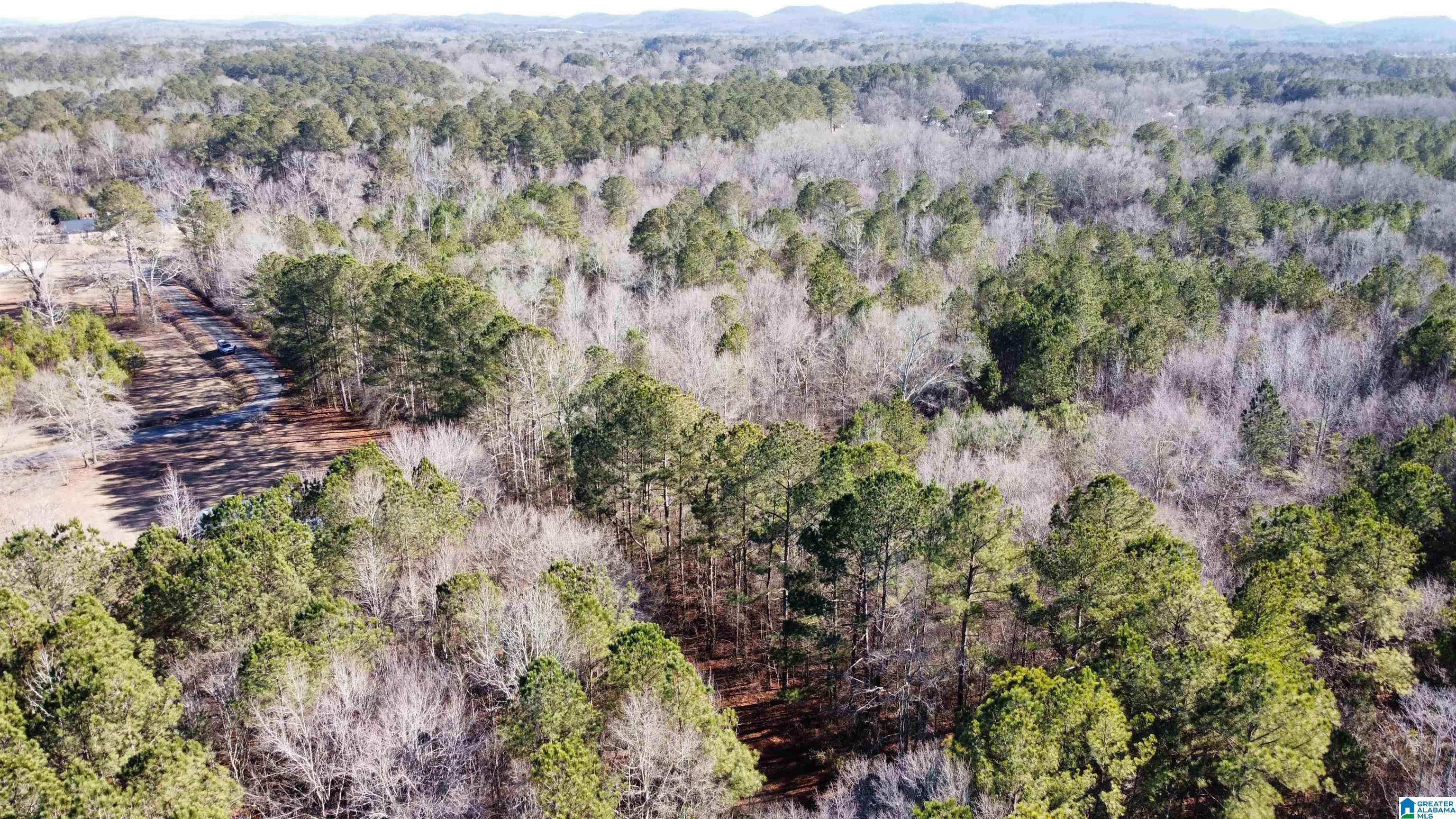 Glencoe, AL 35903,0 E HIGHWAY 278 #0