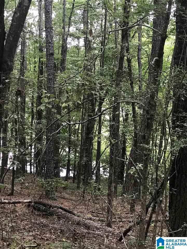 Alpine, AL 35014,HIGHWAY 191 #32