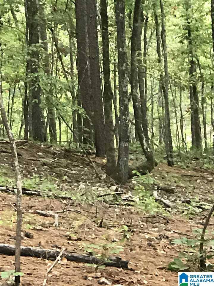 Alpine, AL 35014,ZODIAC DRIVE #75