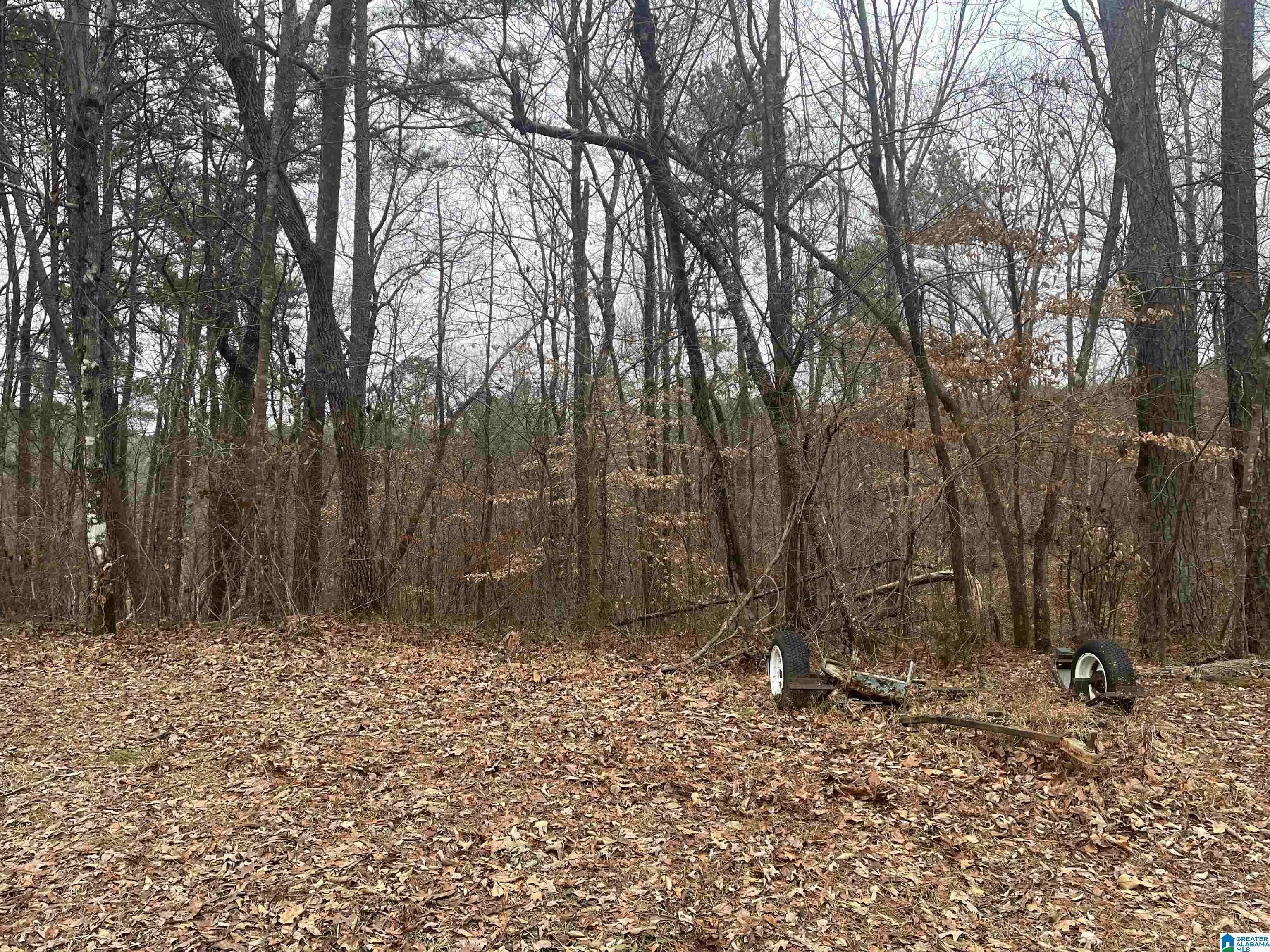 Bessemer, AL 35023,150 RIVER HOUSE ROAD #0
