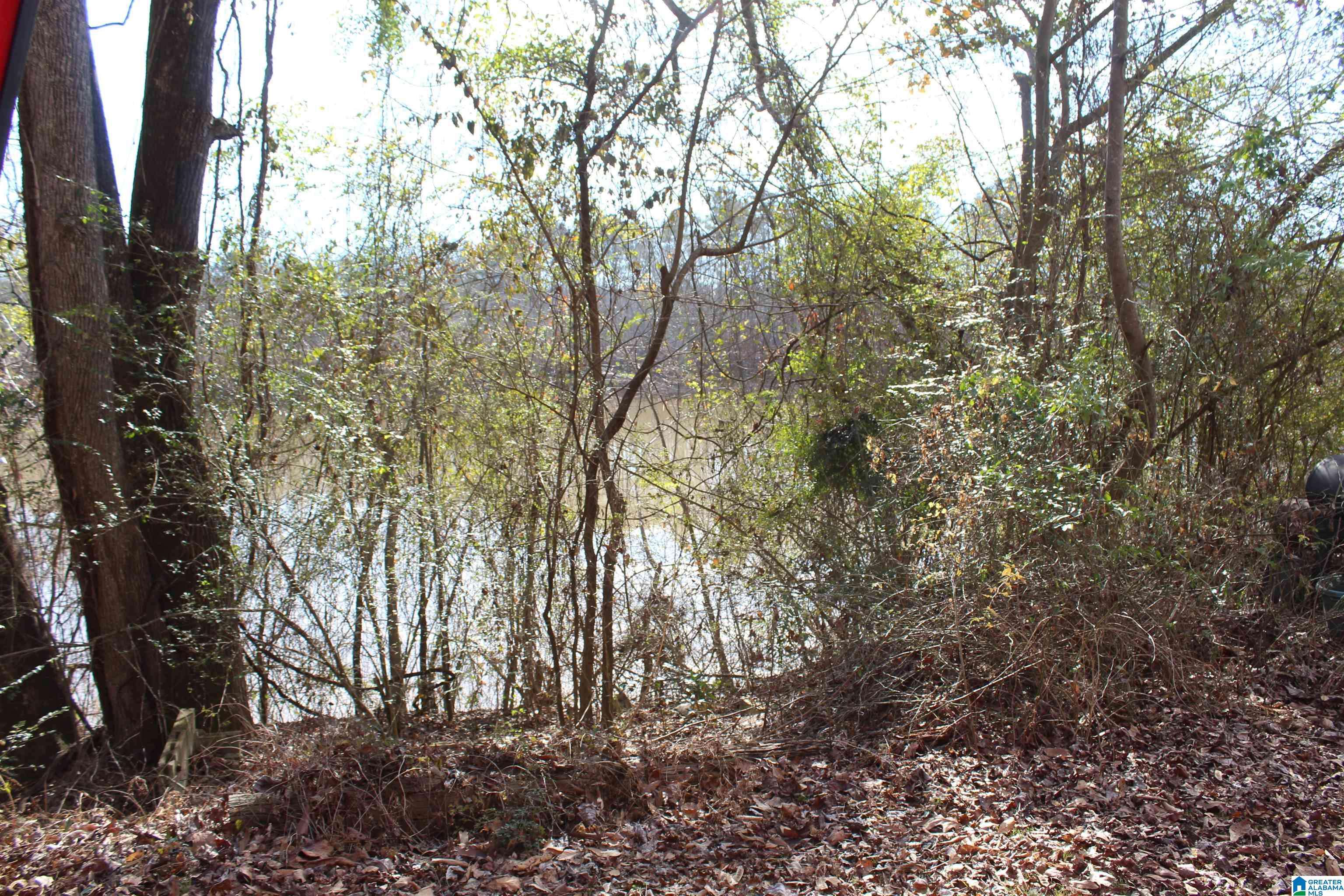 Ragland, AL 35131,0 CHEROKEE DRIVE #403.02/1