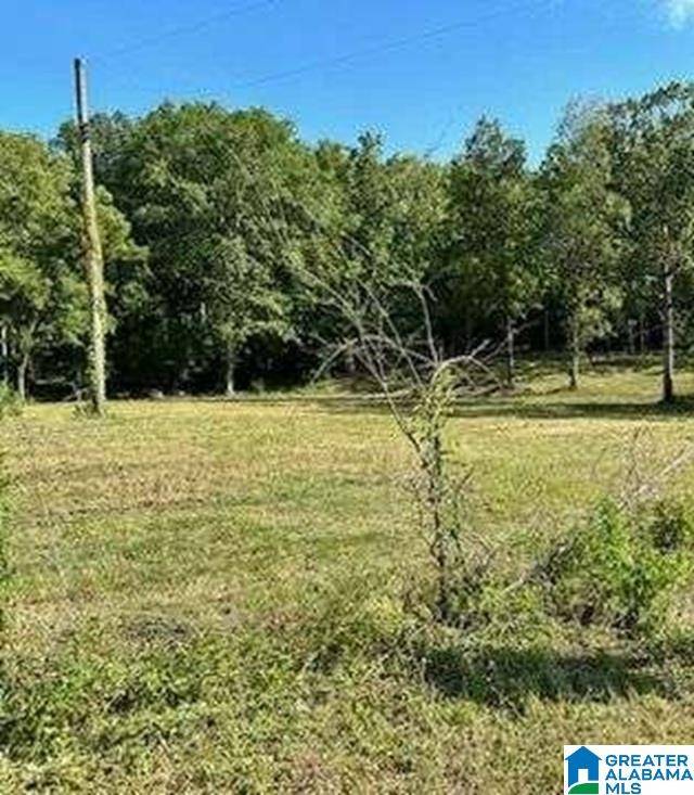 Montevallo, AL 35115,2450 SPRING CREEK ROAD #1