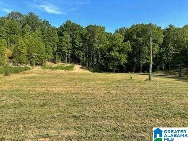 Montevallo, AL 35115,2454 SPRING CREEK ROAD #2