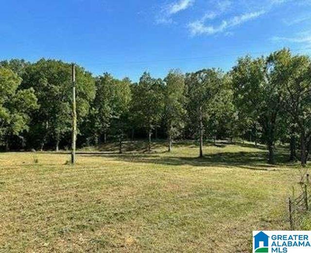 Montevallo, AL 35115,2454 SPRING CREEK ROAD #2