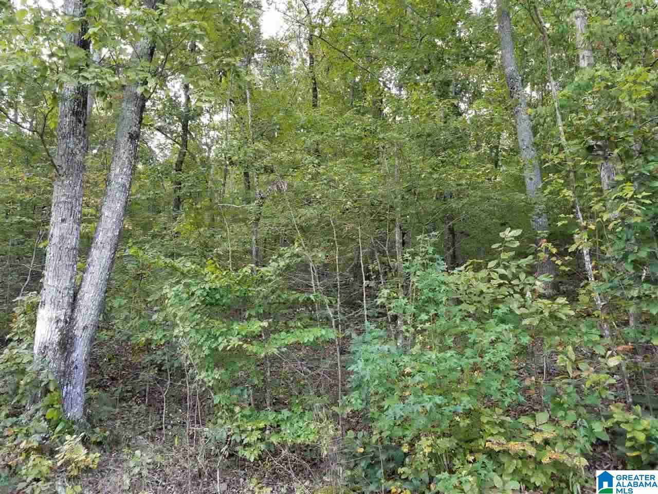 Ashville, AL 35953,WALDROP ROAD #5 & 6