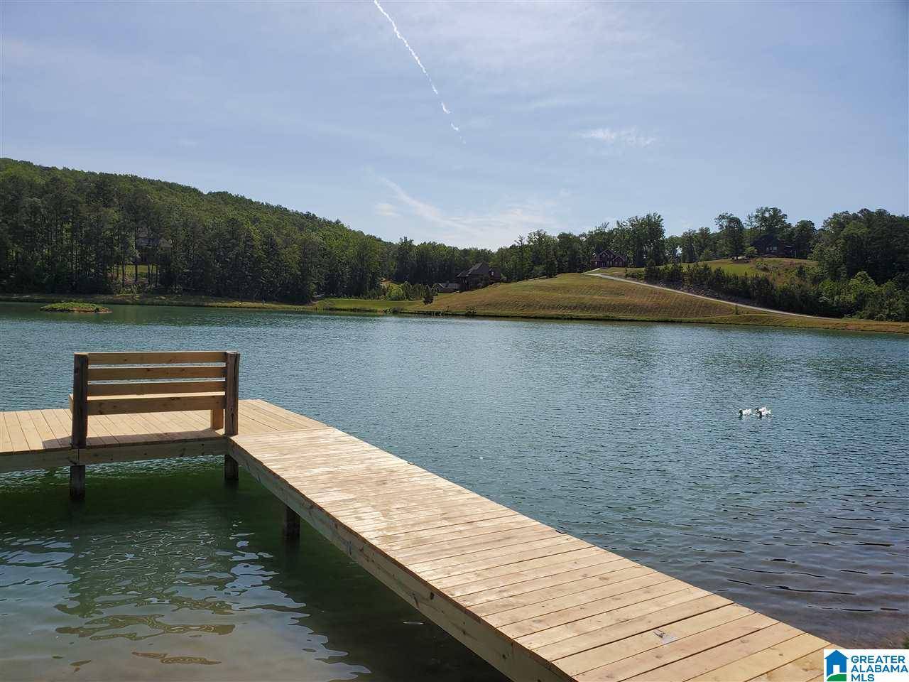 Springville, AL 35146,325 GRAY FOX ROAD #61