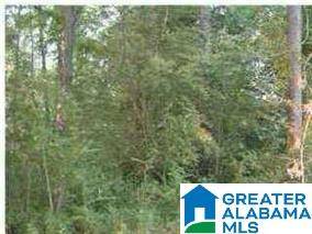 Alpine, AL 35014,0 LAKESIDE LANE #00