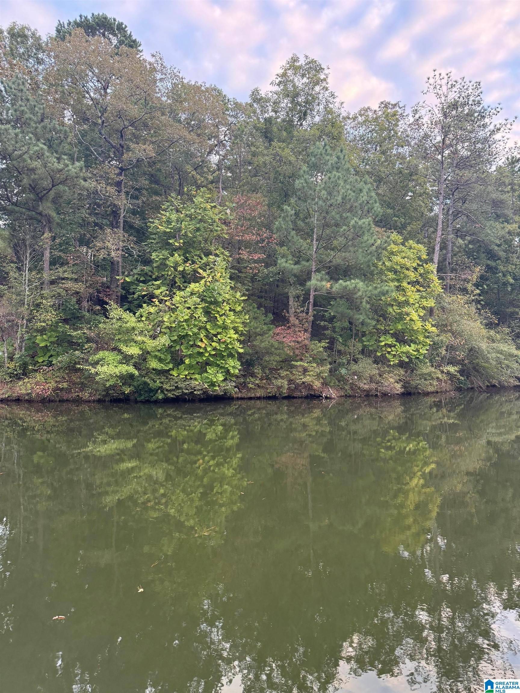 Wedowee, AL 36278,LOT 11 BROOKWATER POINTE #11