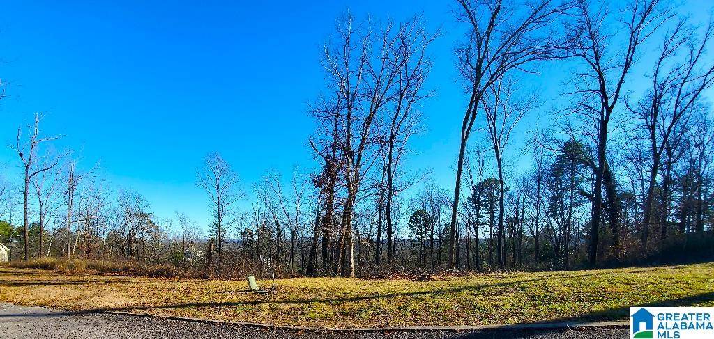 Birmingham, AL 35222,5009 ALTAMONT ROAD S #10