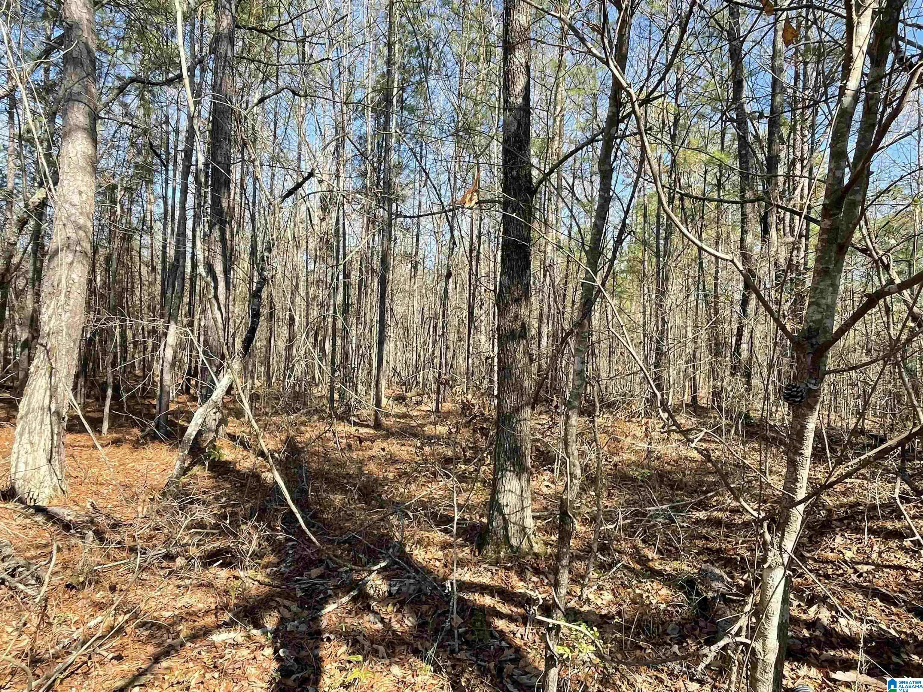 Wilsonville, AL 35186,0 WILSON GLEN DRIVE #49