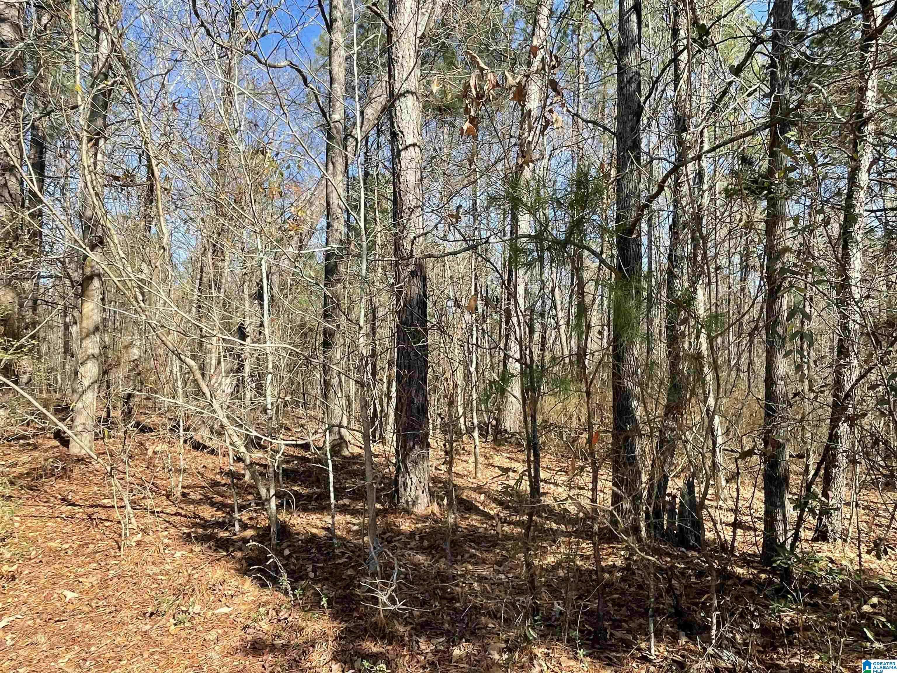 Wilsonville, AL 35186,0 WILSON GLEN DRIVE #49