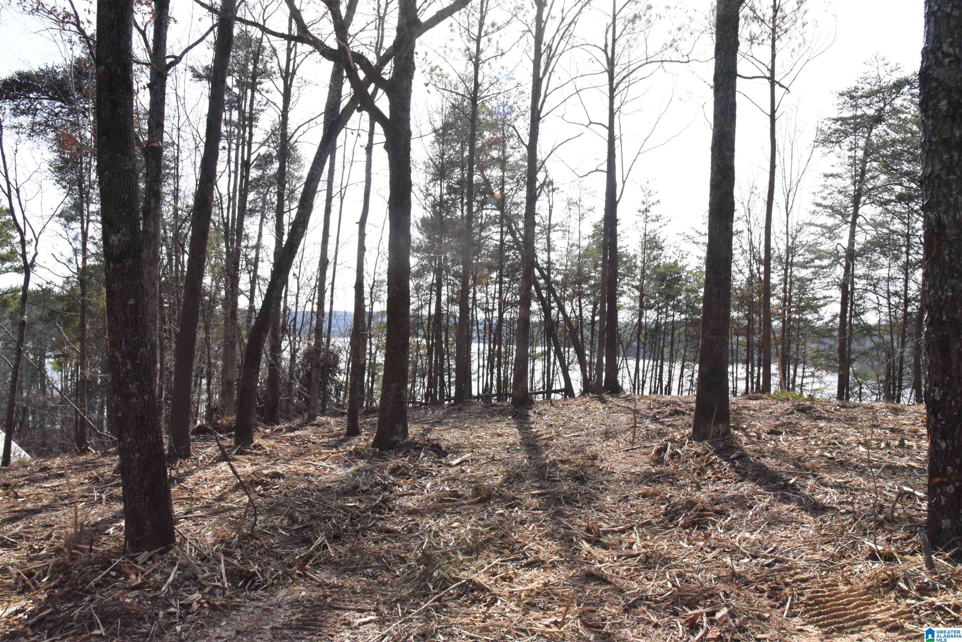 Crane Hill, AL 35053,780 COUNTY ROAD 864 #0