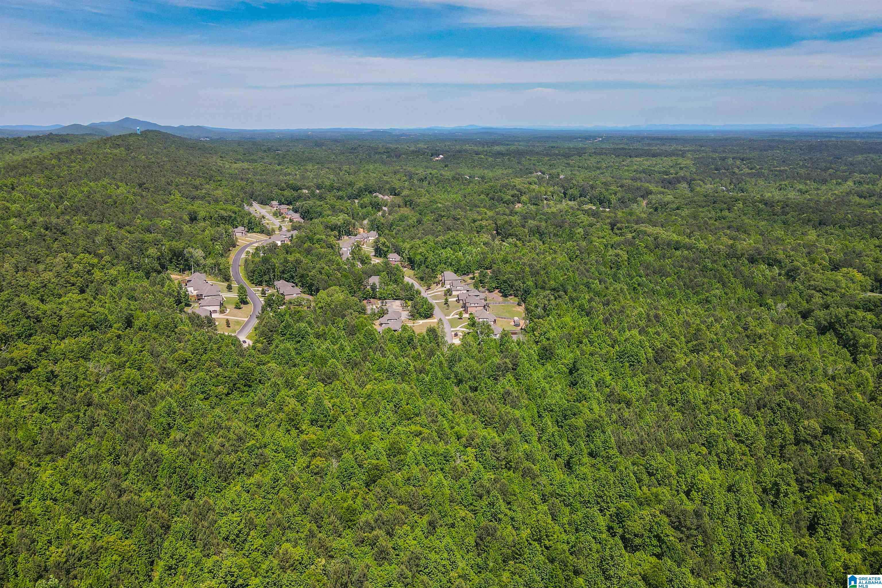 Pelham, AL 35043,BENT CREEK DRIVE #0