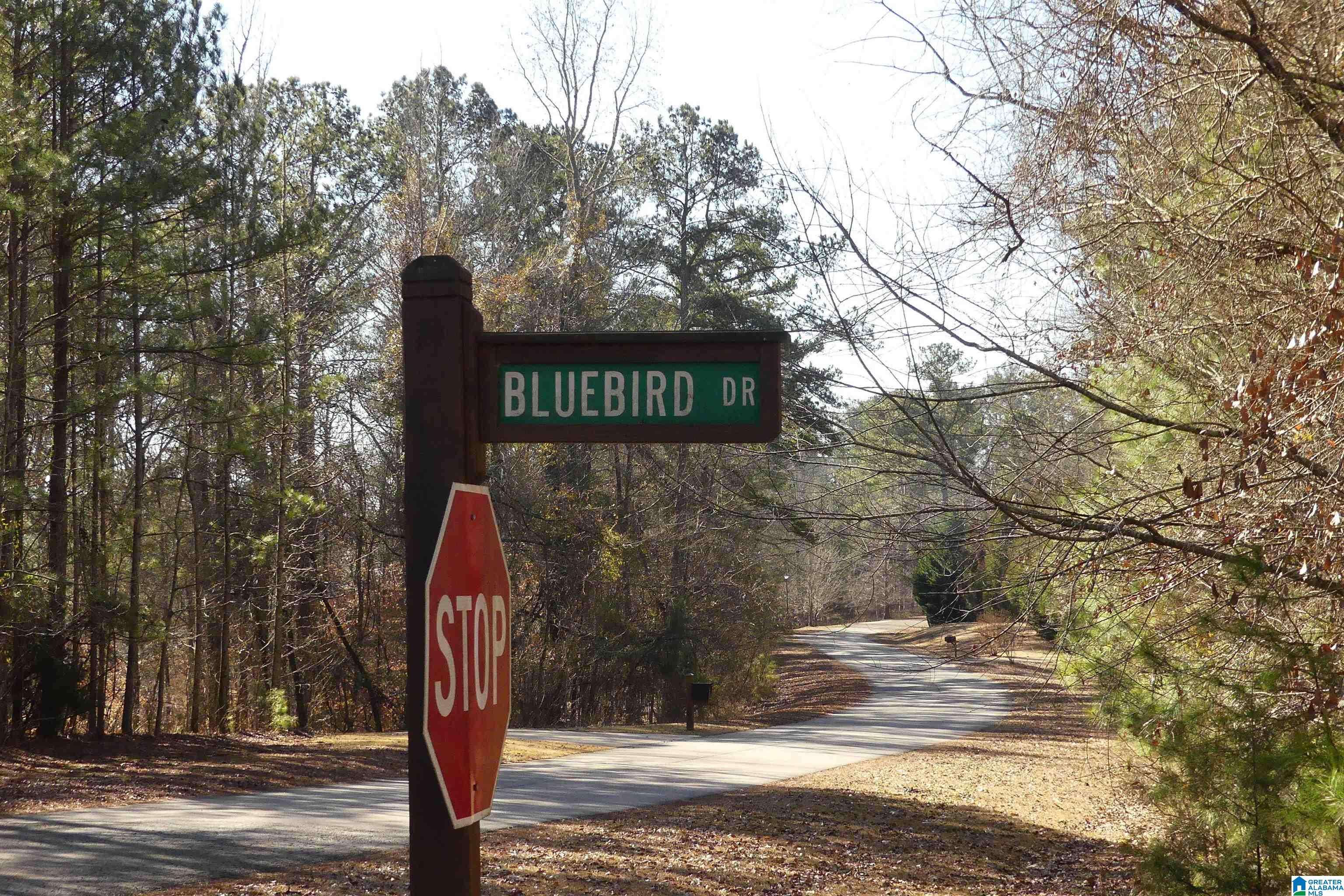Wedowee, AL 36278,Lot 67 BLUE BIRD DRIVE #67