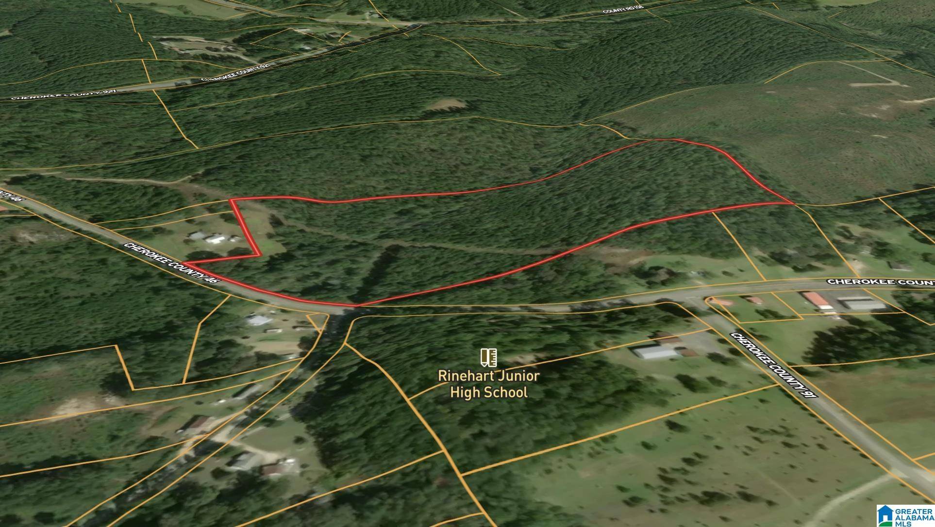 Gaylesville, AL 35973,0 COUNTY ROAD 46 #0