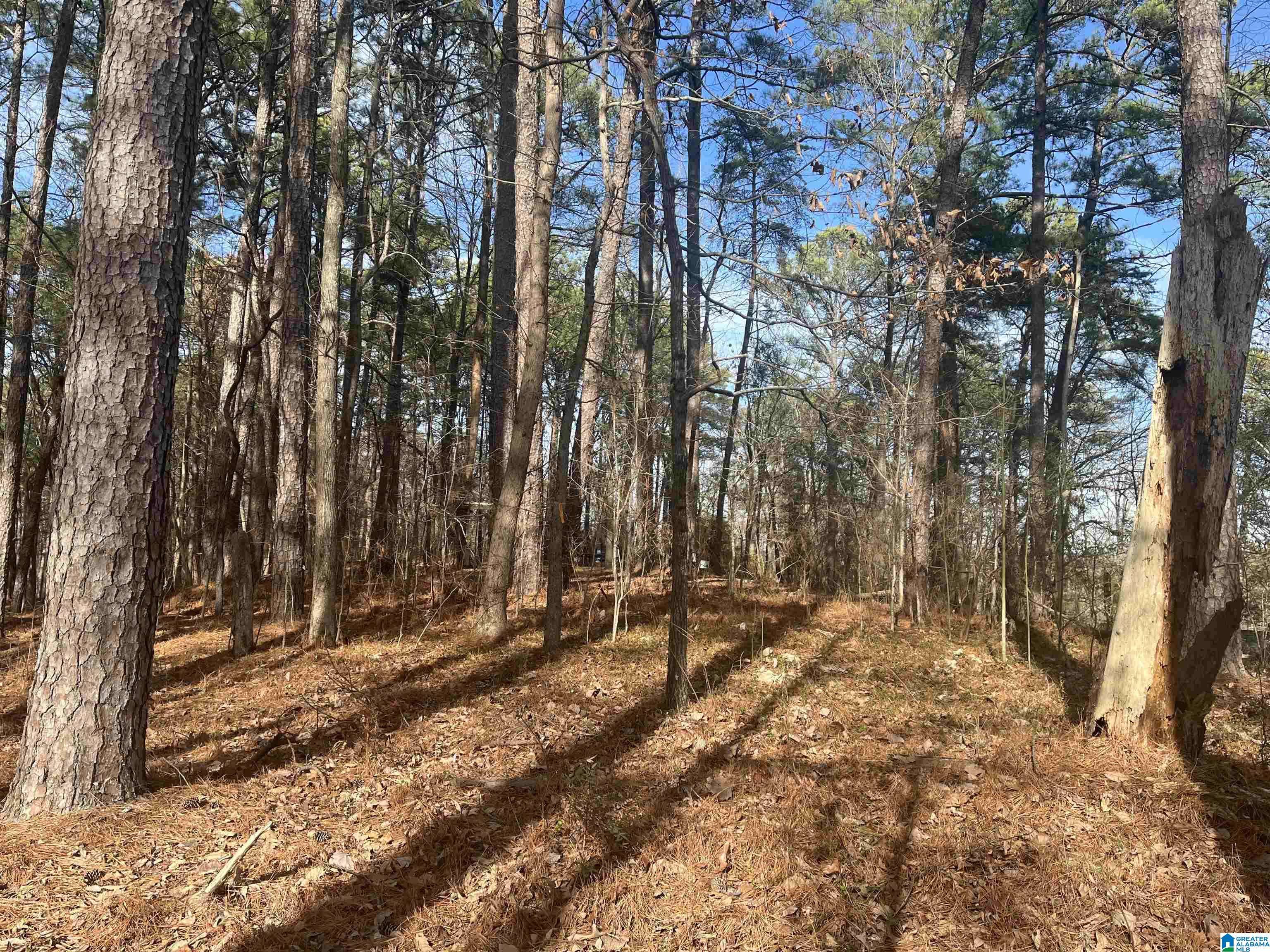 Hueytown, AL 35023,612 TINKER STREET #13