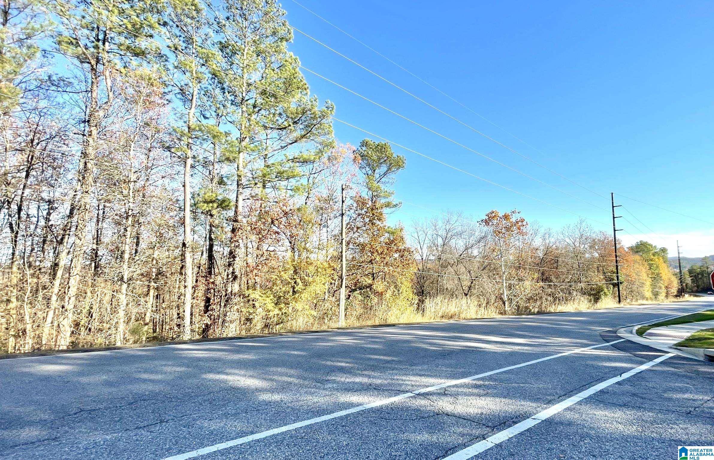 Pelham, AL 35124,BEARDEN ROAD #1