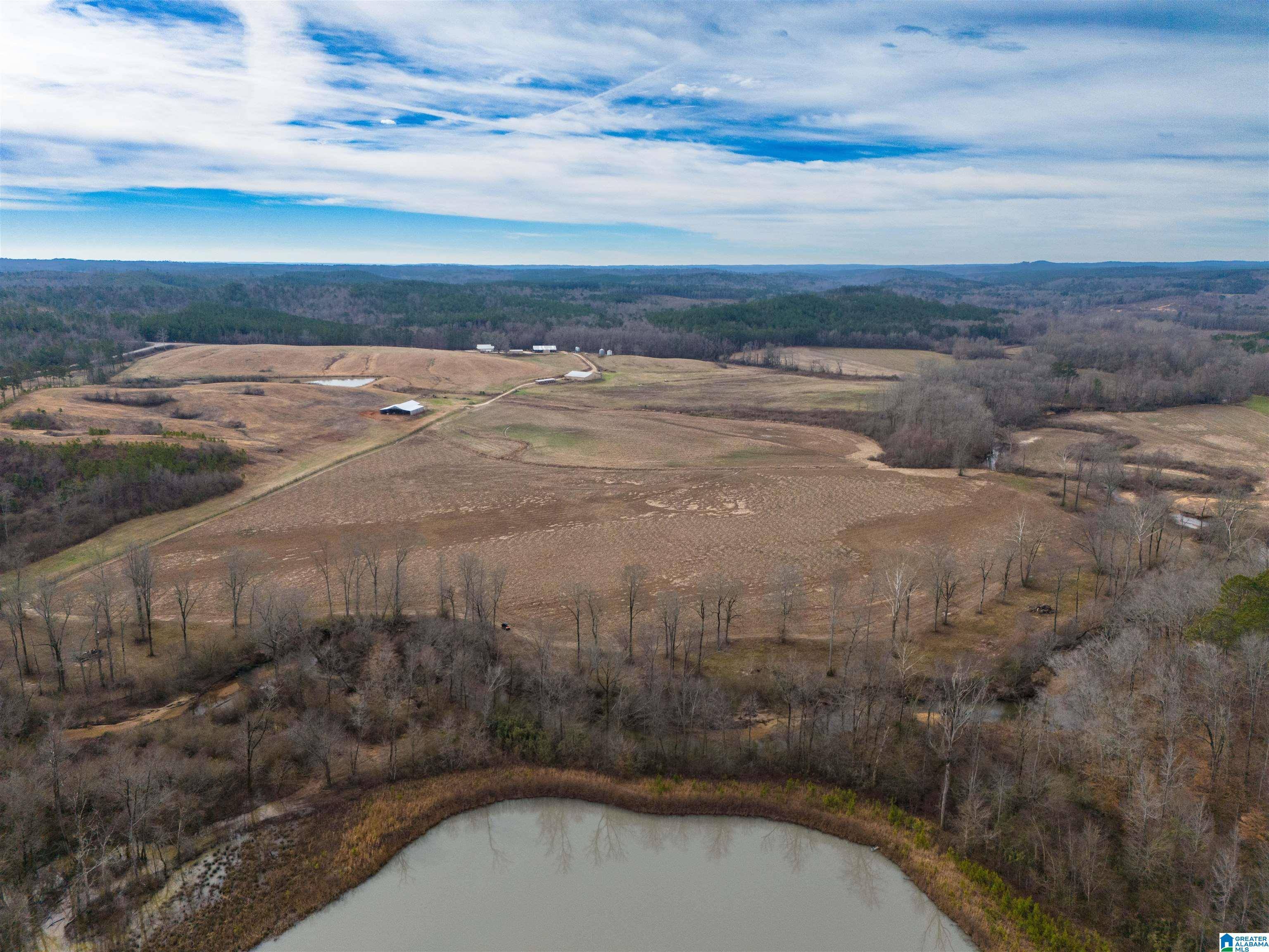Wedowee, AL 36278,COUNTY ROAD 15 #157 Acres
